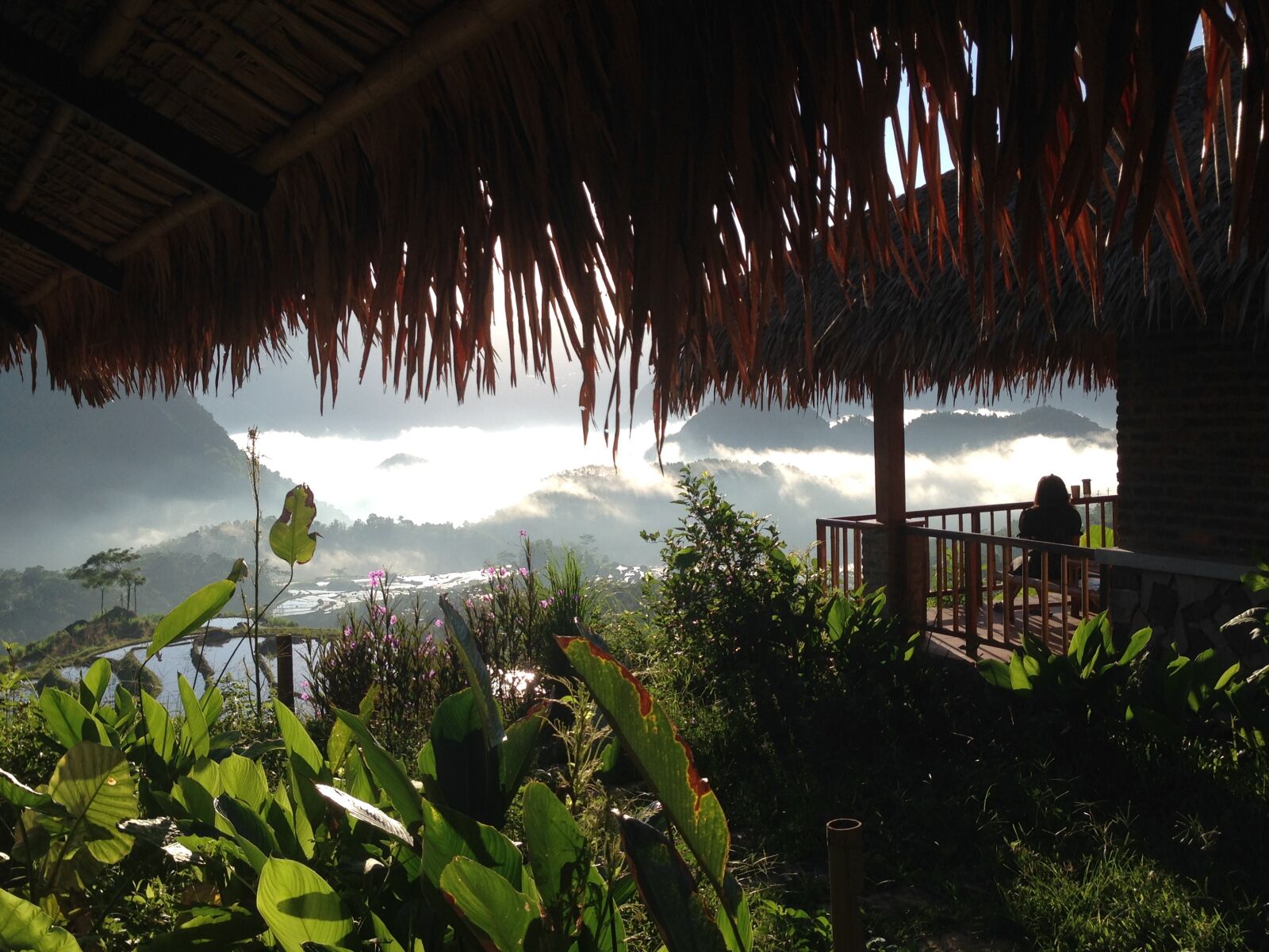 iPhone 5 back camera 4.12mm f/2.4 sample photo. Puluong retreat, mai chau photography
