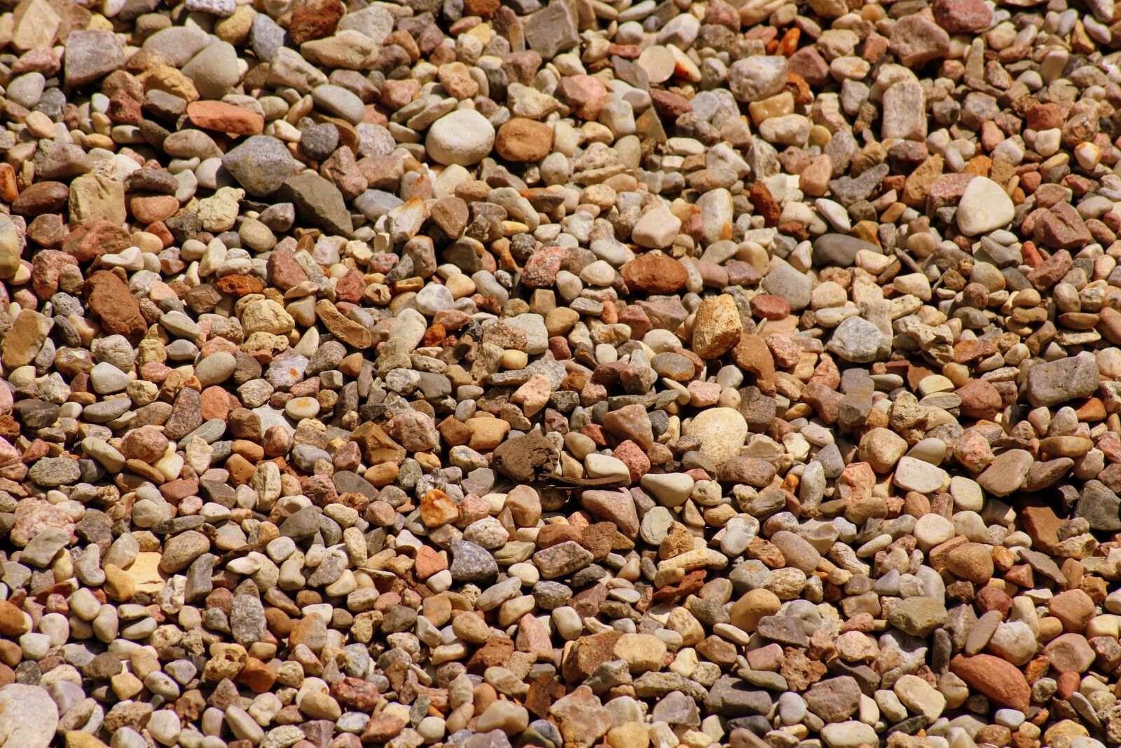 Canon EOS 1200D (EOS Rebel T5 / EOS Kiss X70 / EOS Hi) sample photo. Pebbles, minor, the background photography