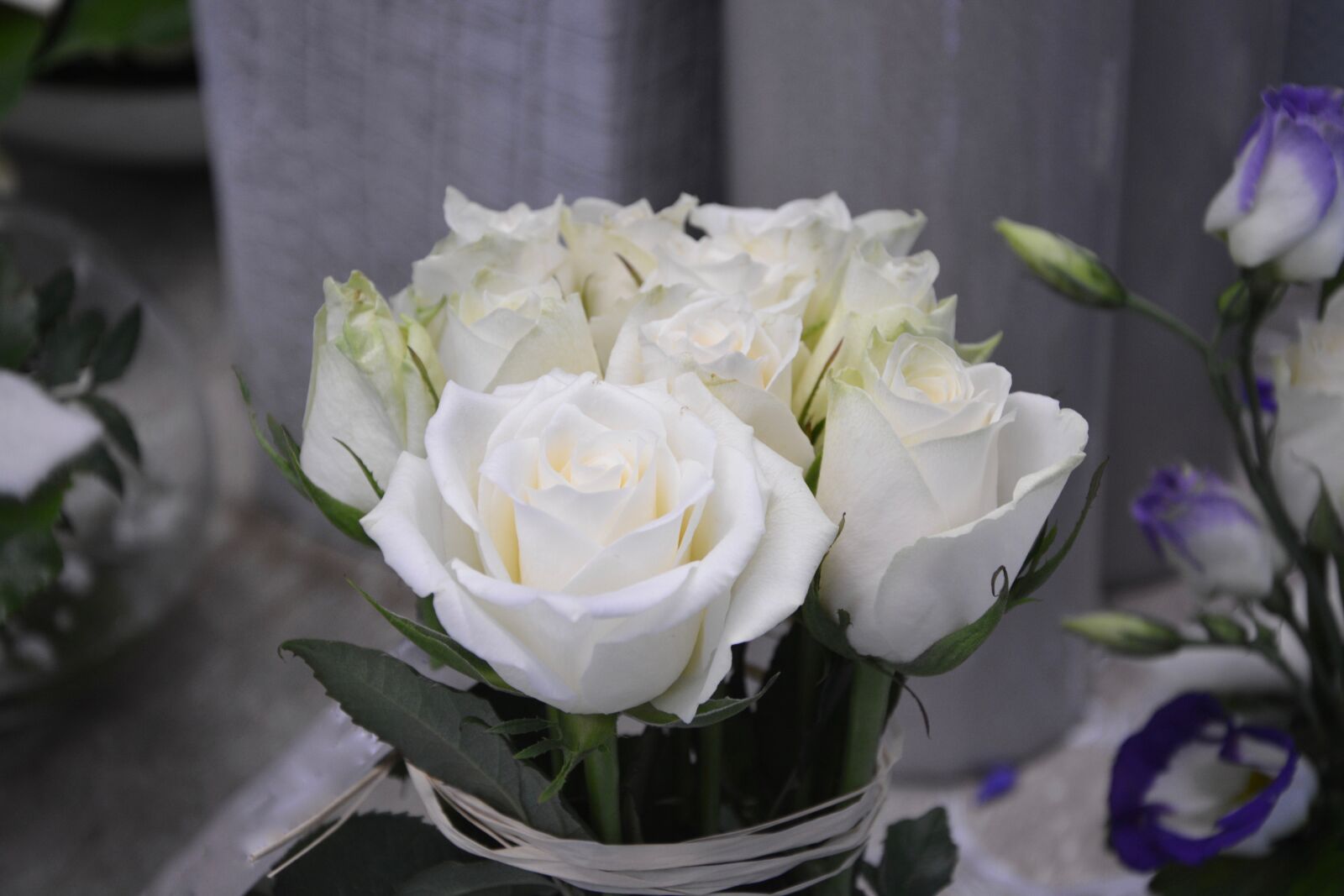 Nikon D5200 sample photo. Flower, white roses, nature photography
