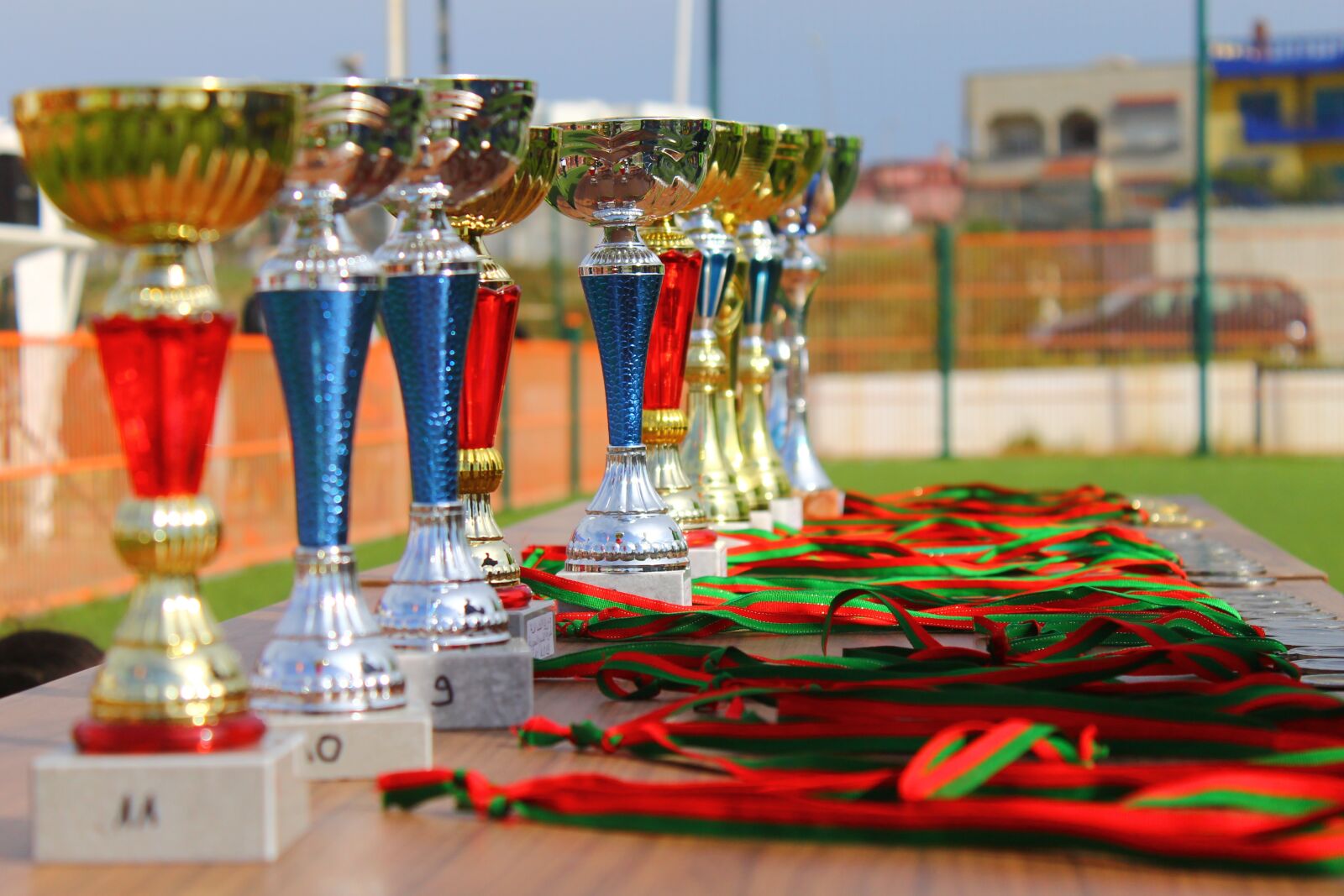 Canon EOS 1100D (EOS Rebel T3 / EOS Kiss X50) sample photo. Awards, medals, cup photography
