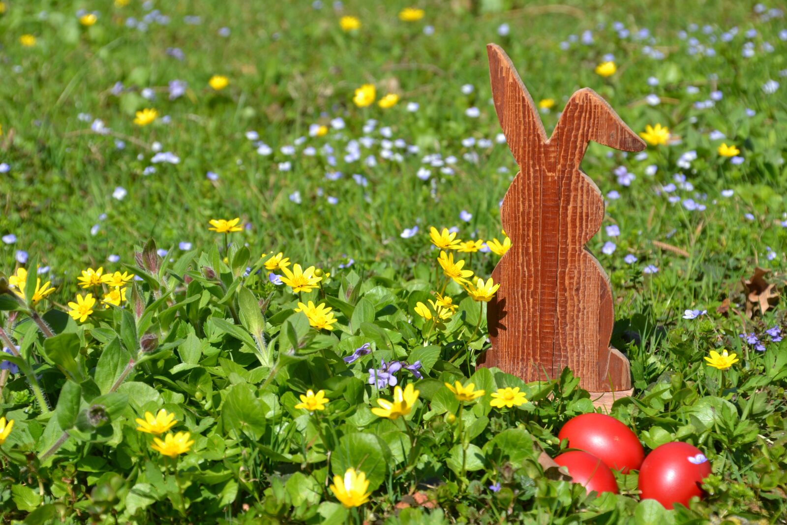 Nikon D3100 sample photo. Easter, hare, easter bunny photography