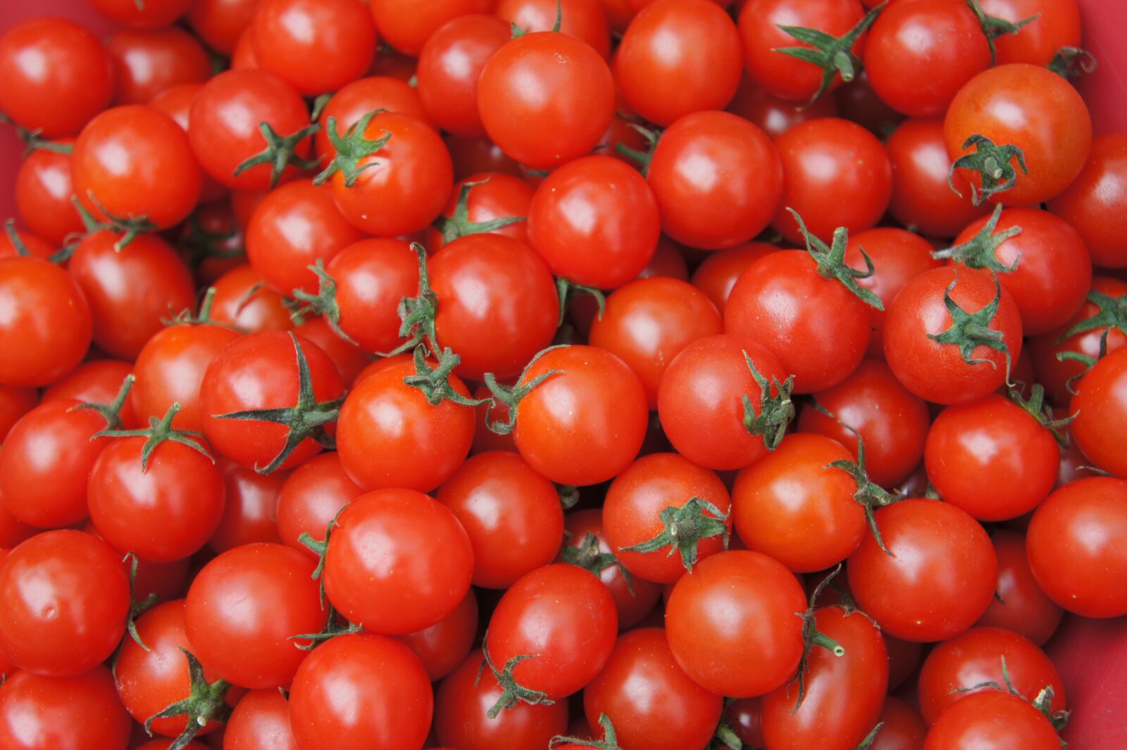 Sony Alpha NEX-3 + Sony E 18-55mm F3.5-5.6 OSS sample photo. Cherry tomato, tomato, fruit photography