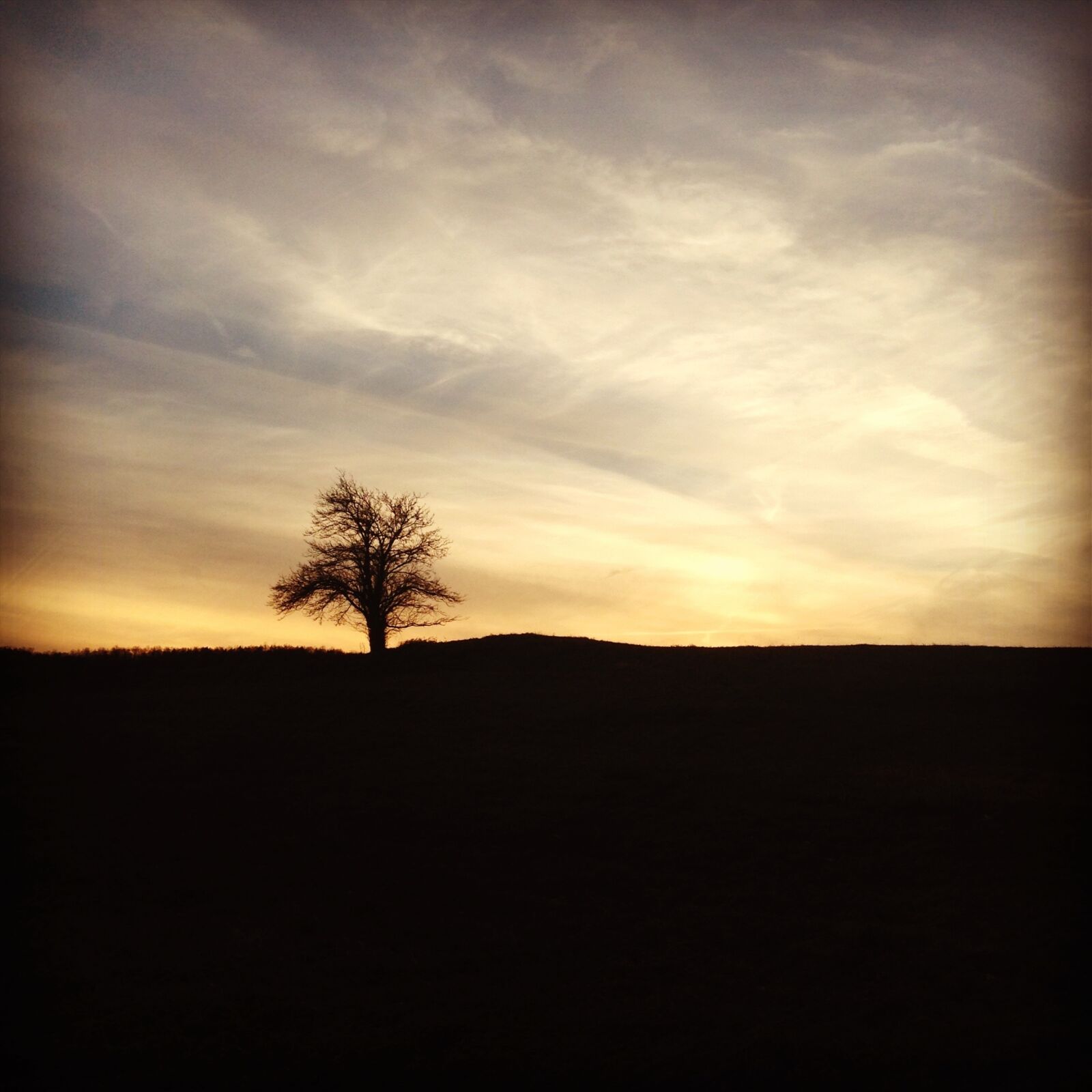 iPhone 5 back camera 4.12mm f/2.4 sample photo. Tree, landscape, season photography