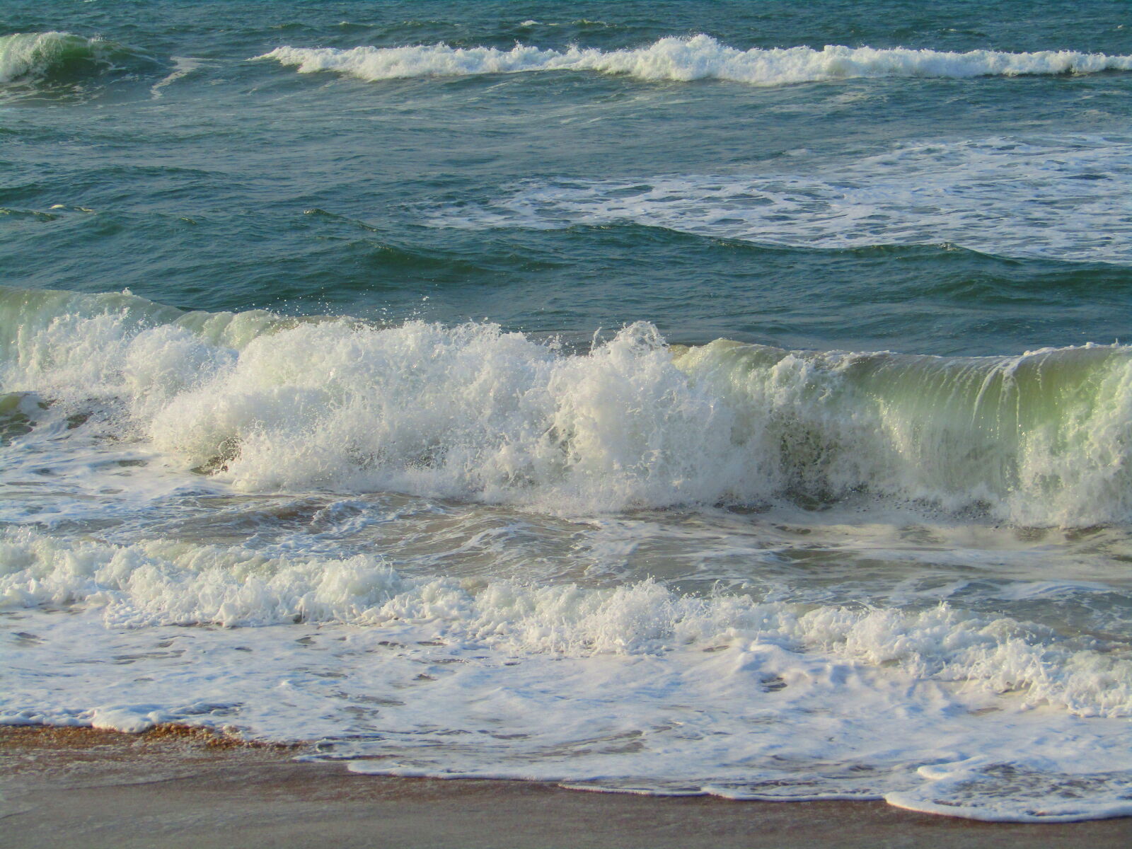 Canon PowerShot SX410 IS sample photo
