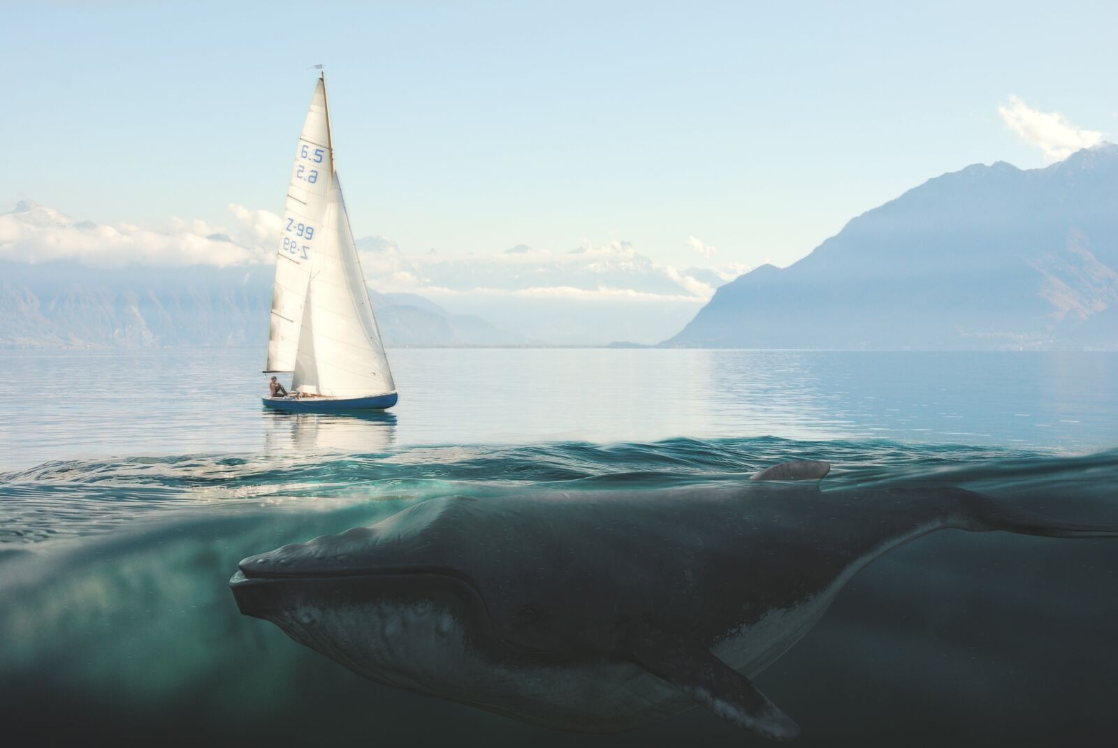 Nikon D80 sample photo. Sailing boat, whale, sea photography