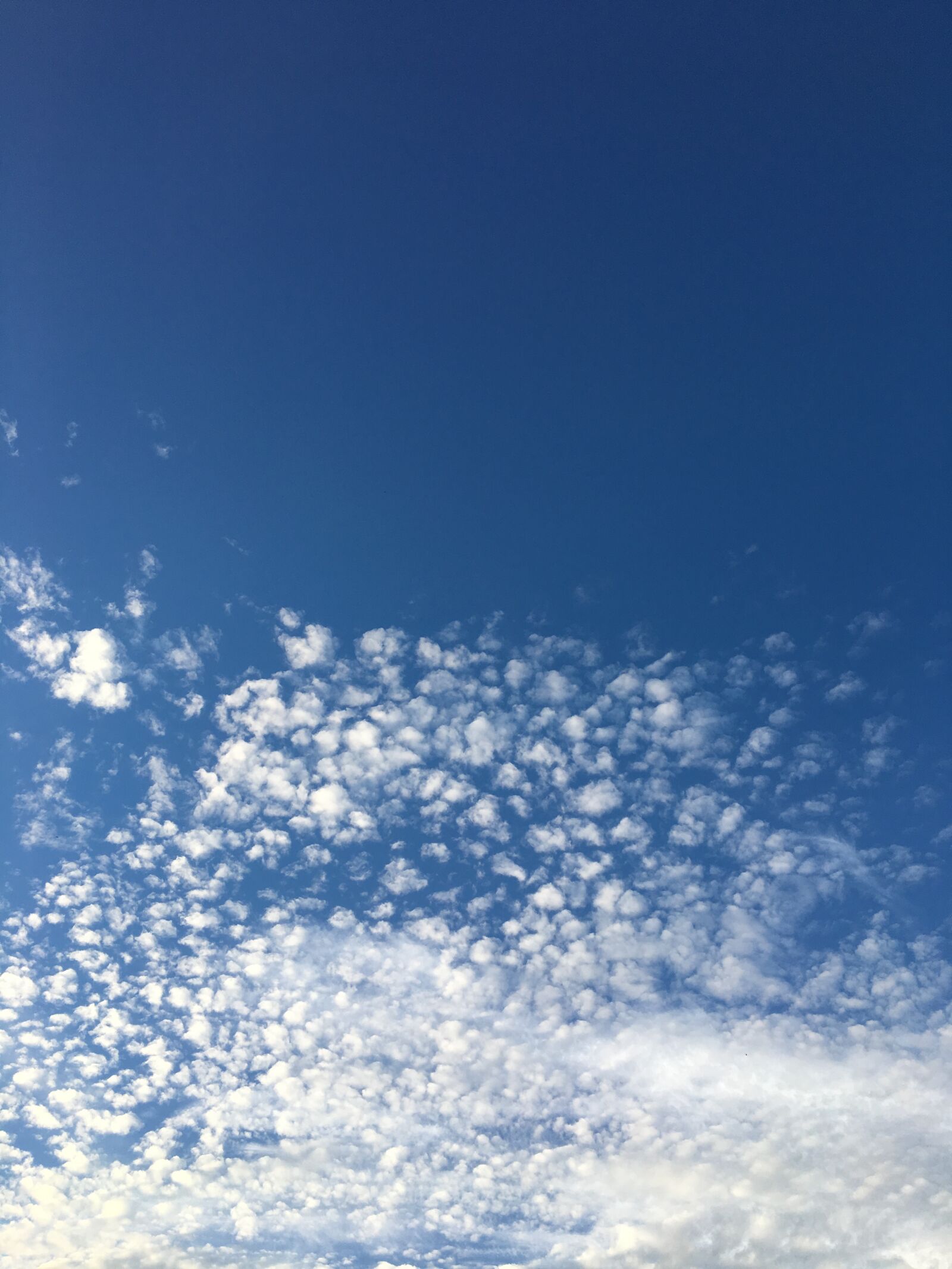 Apple iPhone 6s sample photo. Sky, blue, freedom photography