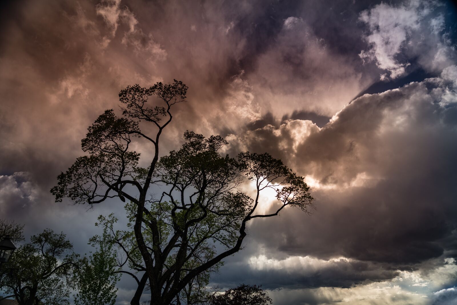 Sony FE 24-105mm F4 G OSS sample photo. Sunset, taos, storm photography