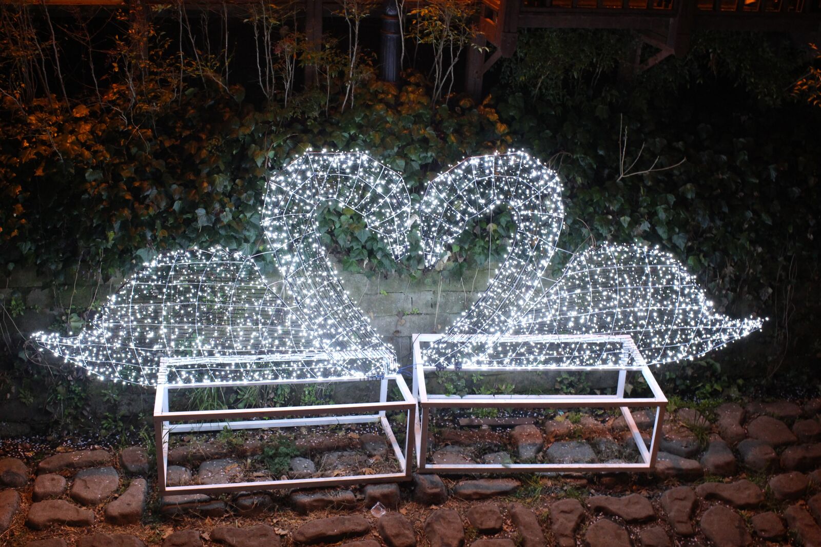 Canon EOS 100D (EOS Rebel SL1 / EOS Kiss X7) sample photo. Love, swan, hart photography