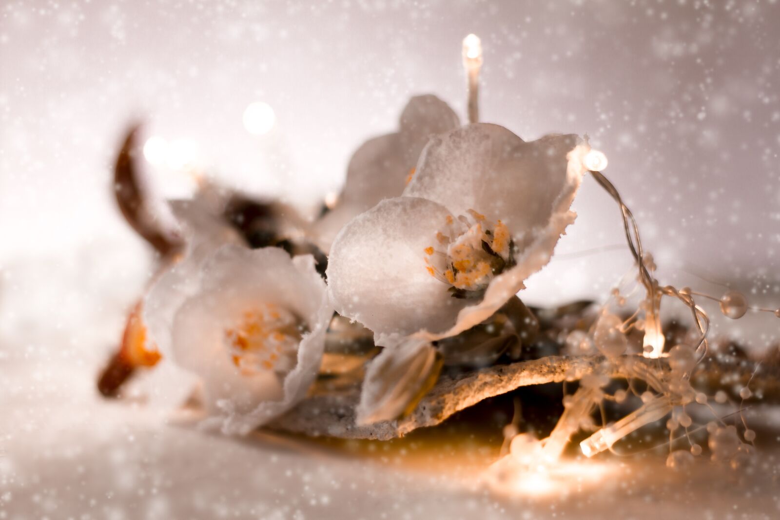 Canon EOS 7D sample photo. Flowers, white, floral arrangement photography
