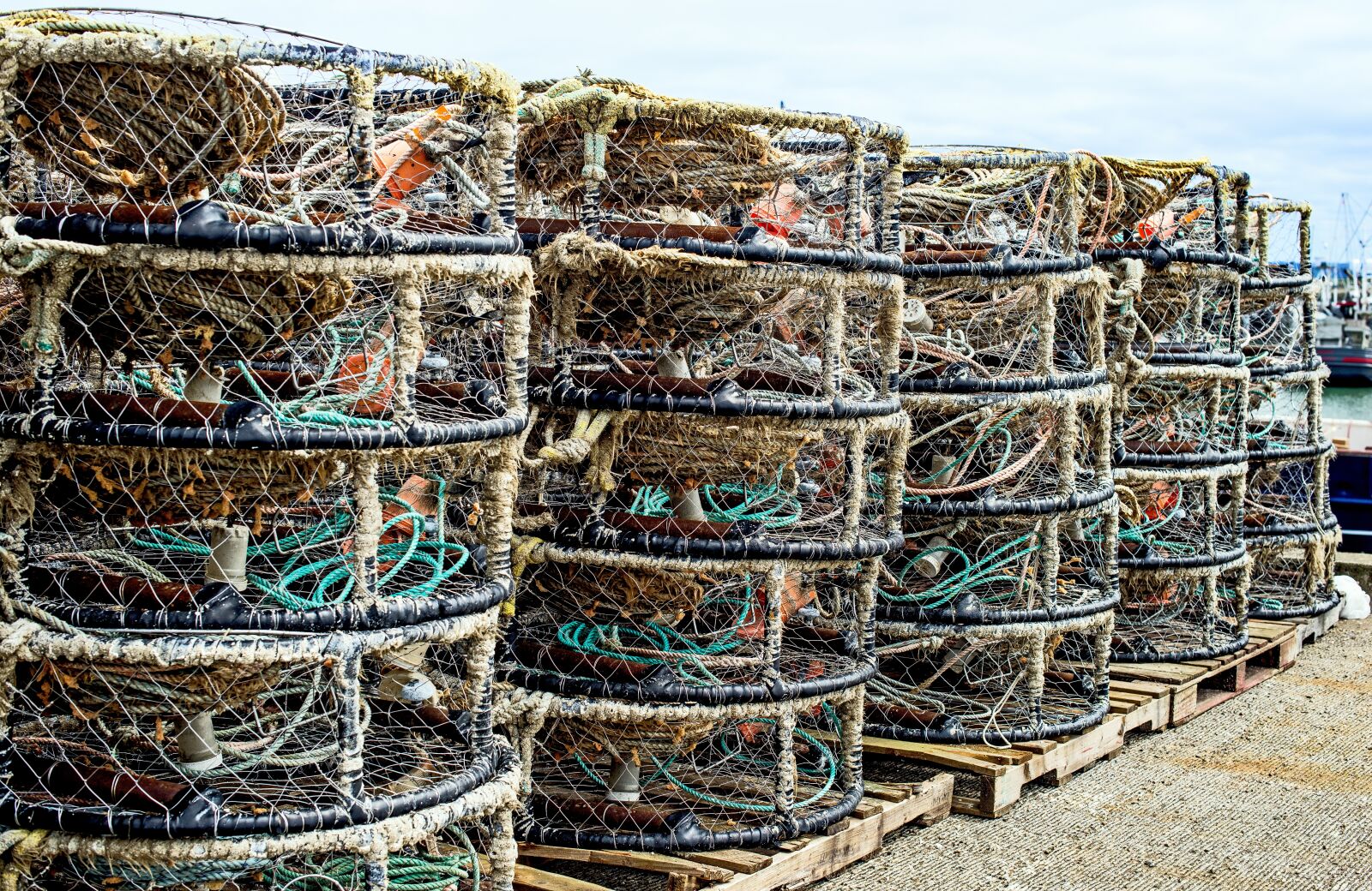 Nikon D610 sample photo. Westport crab pots, crab photography