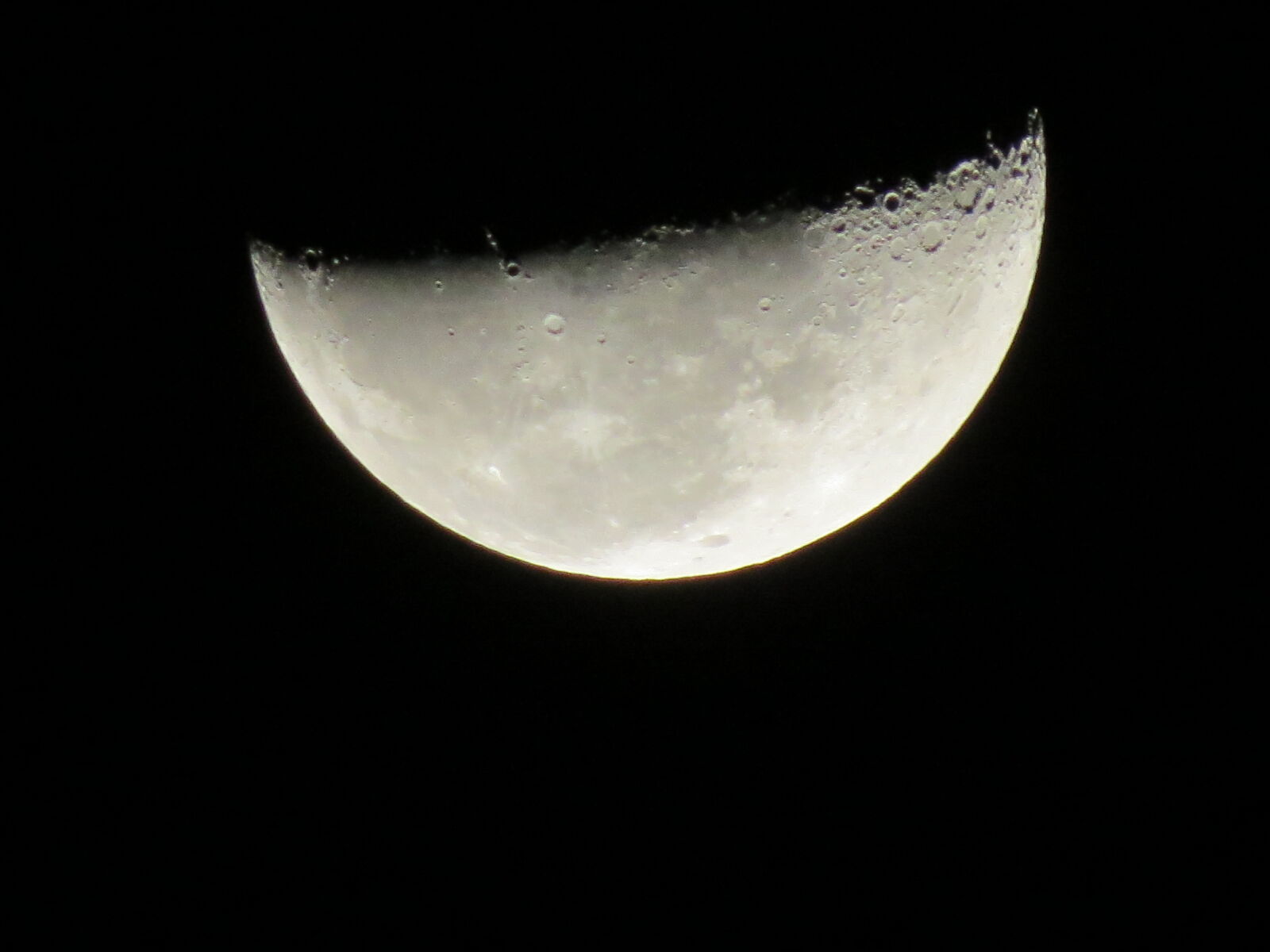 Canon PowerShot SX50 HS sample photo