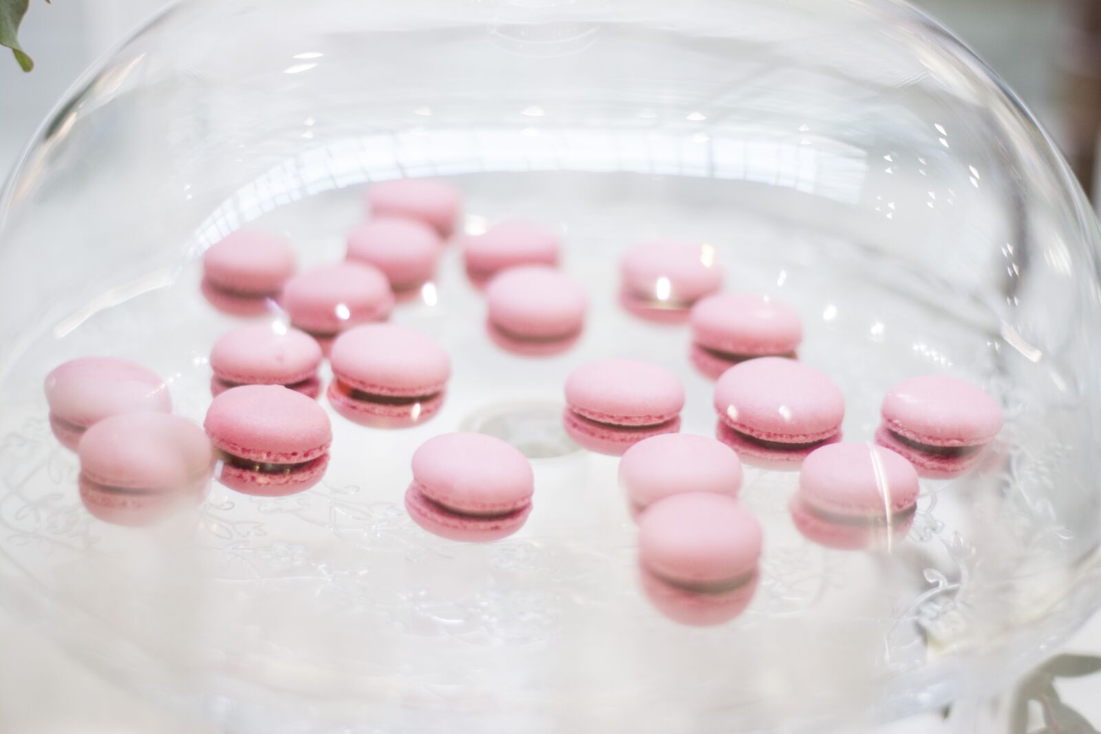Nikon D5200 sample photo. Dessert, makronka, sweet photography