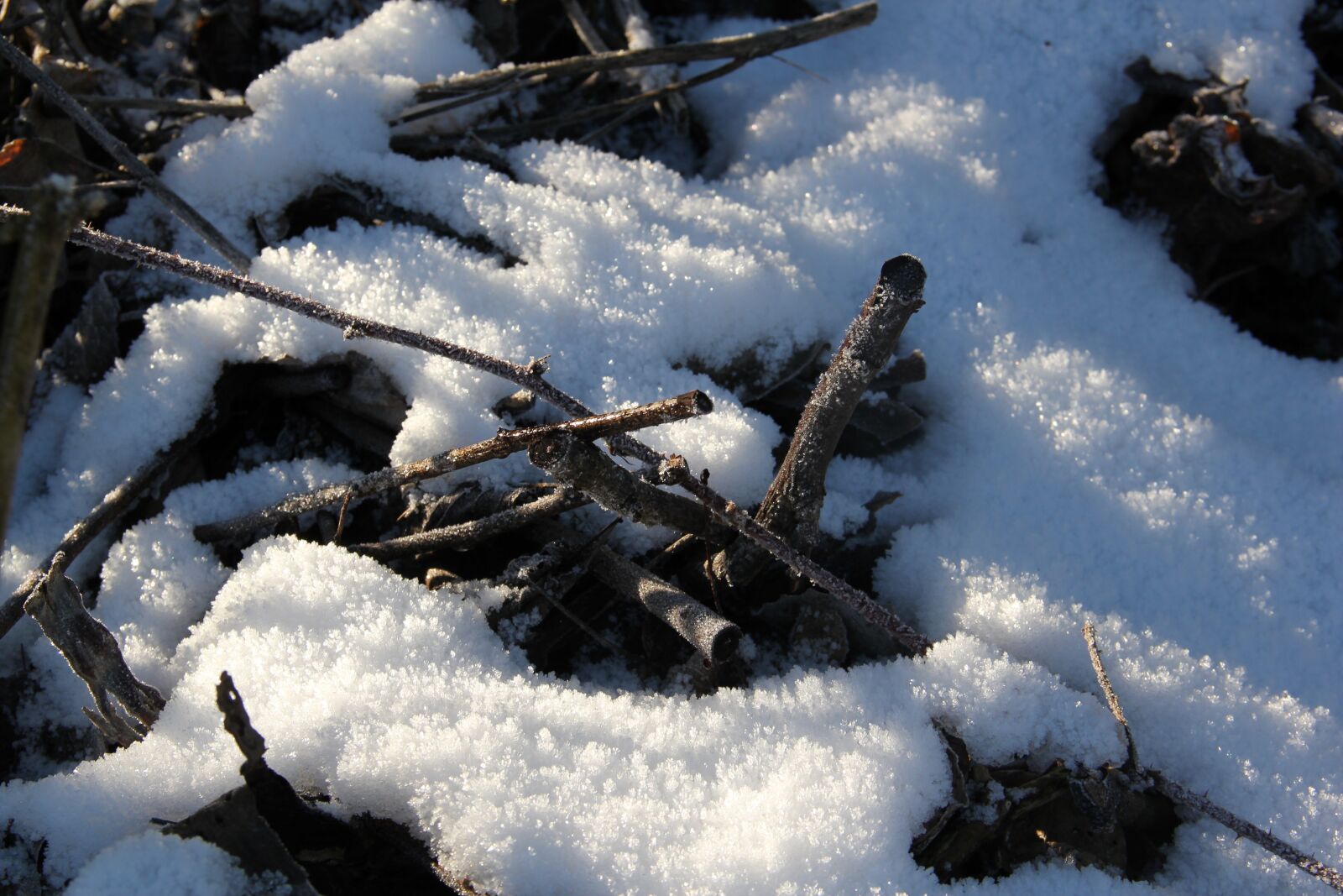 Canon EOS 550D (EOS Rebel T2i / EOS Kiss X4) sample photo. Snow, winter, cold photography
