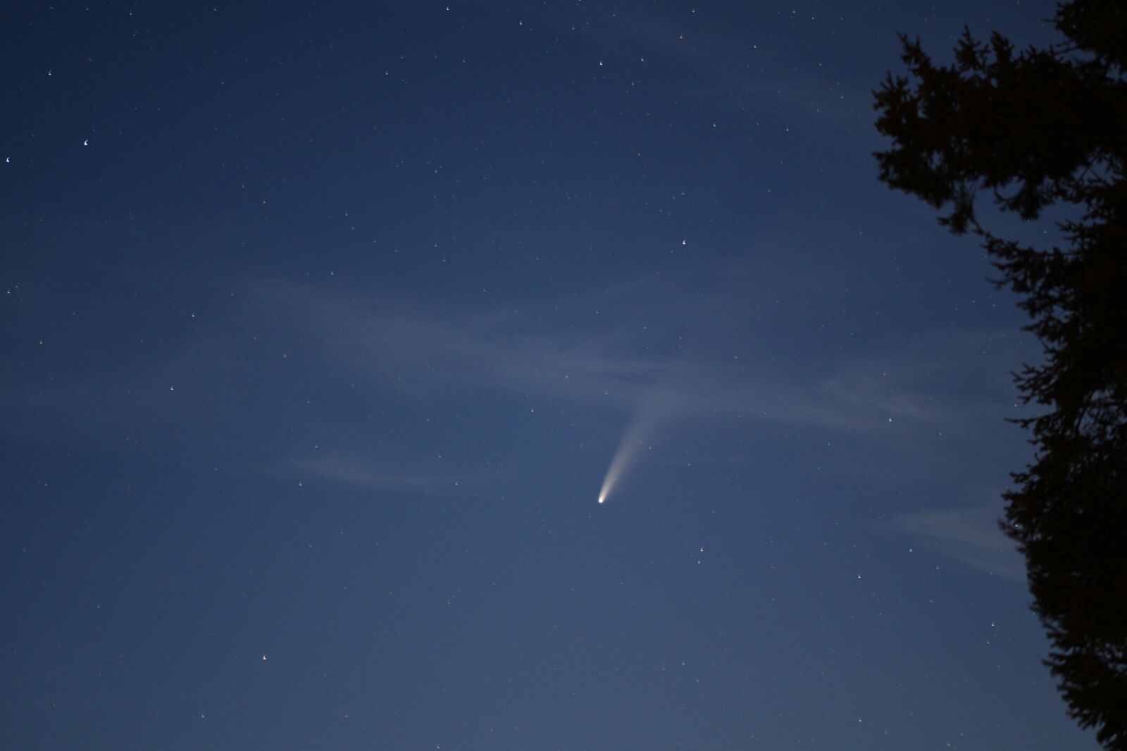 Nikon D750 sample photo. Comet, sky, night photography
