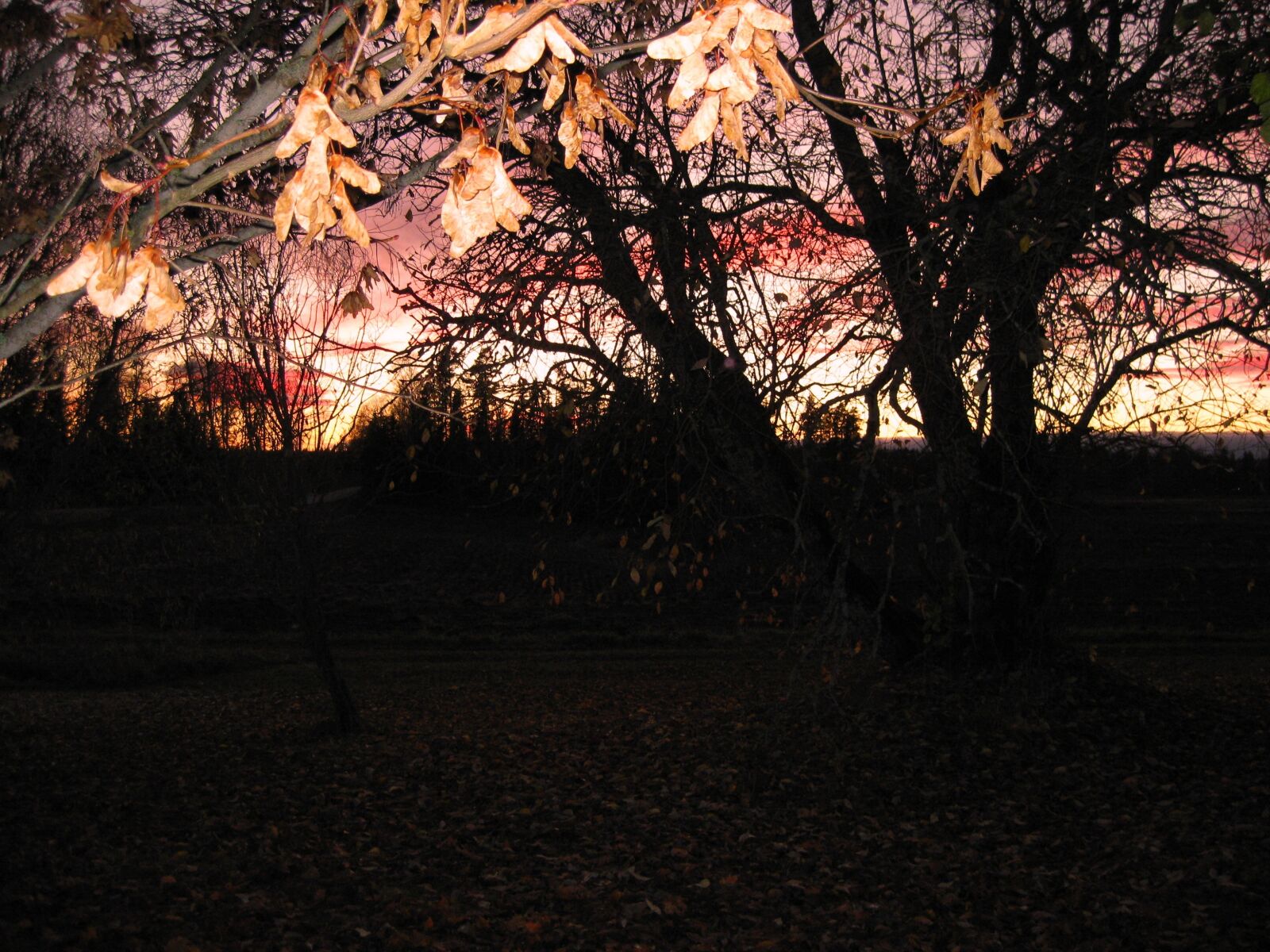 Canon PowerShot SD1100 IS (Digital IXUS 80 IS / IXY Digital 20 IS) sample photo. Autumn, fall colors, landscape photography