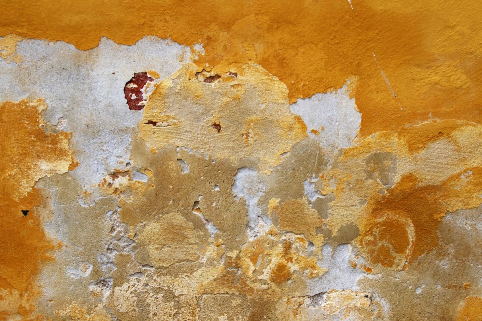 Canon EOS 7D Mark II sample photo. Layers, old, paint, pealed photography