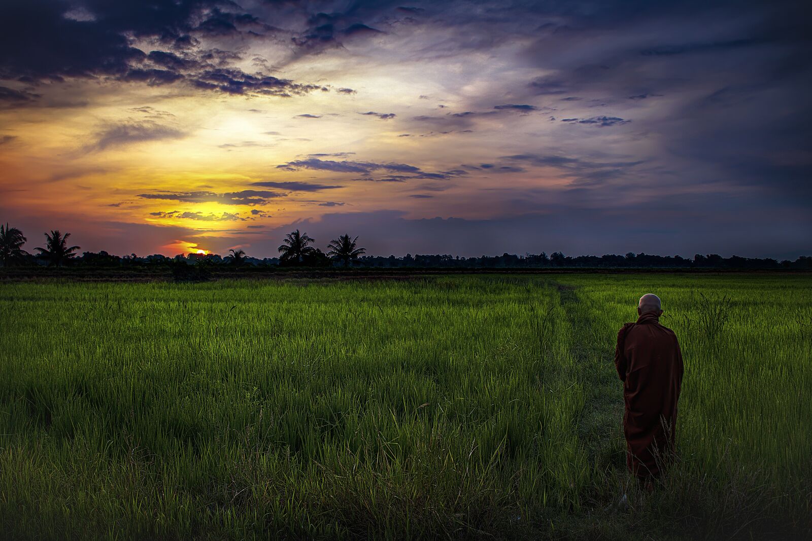 Canon EOS 750D (EOS Rebel T6i / EOS Kiss X8i) sample photo. Buddhist, monk, dawn photography