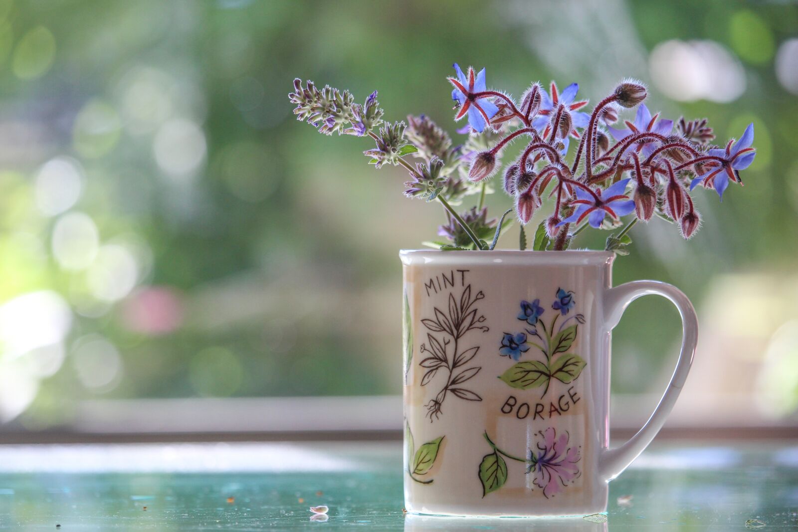 Canon EF-S 55-250mm F4-5.6 IS STM sample photo. Cup, mug, borage photography