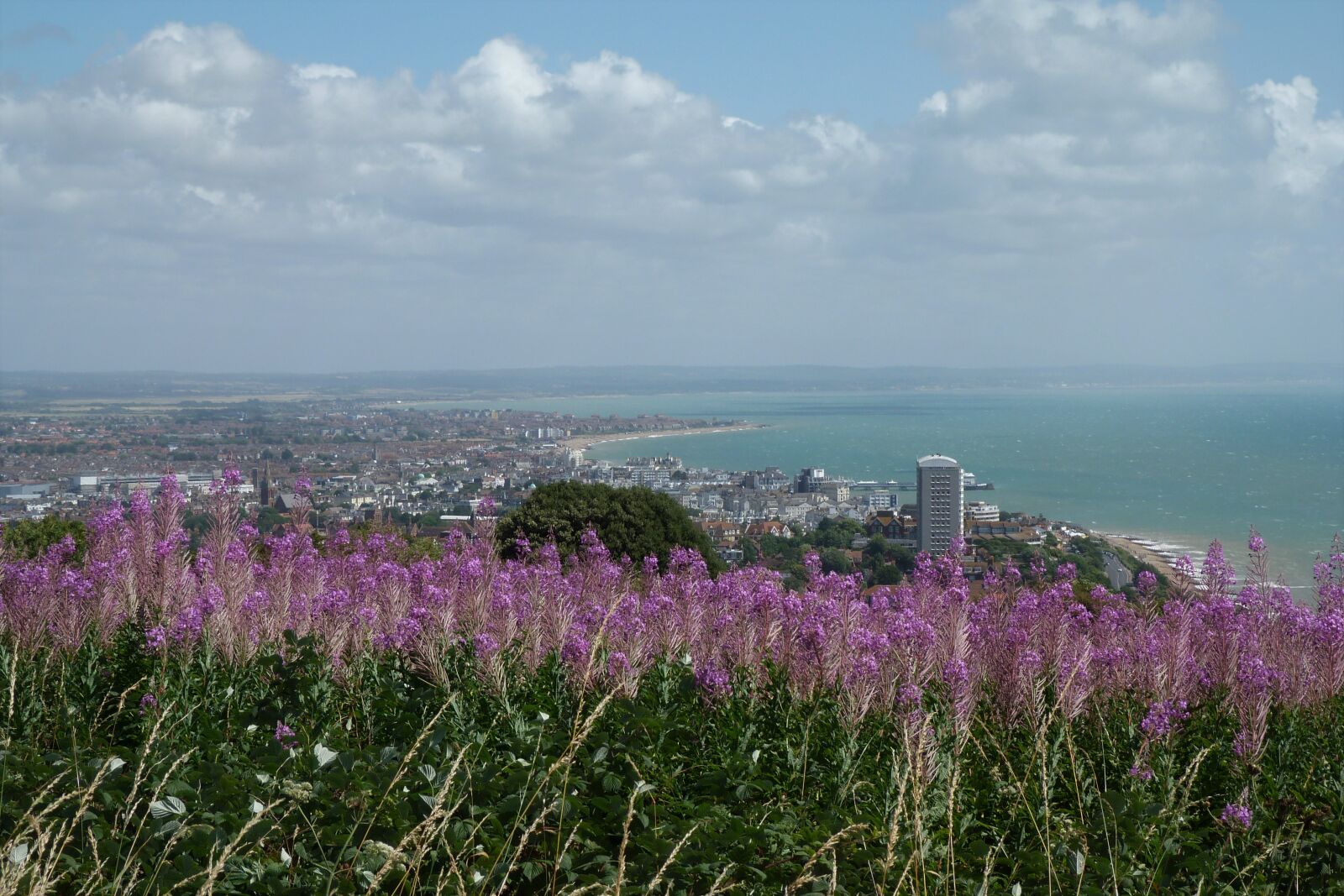 Panasonic Lumix DMC-FZ40 (Lumix DMC-FZ45) sample photo. Lilac, wildflowers, eastbourne photography