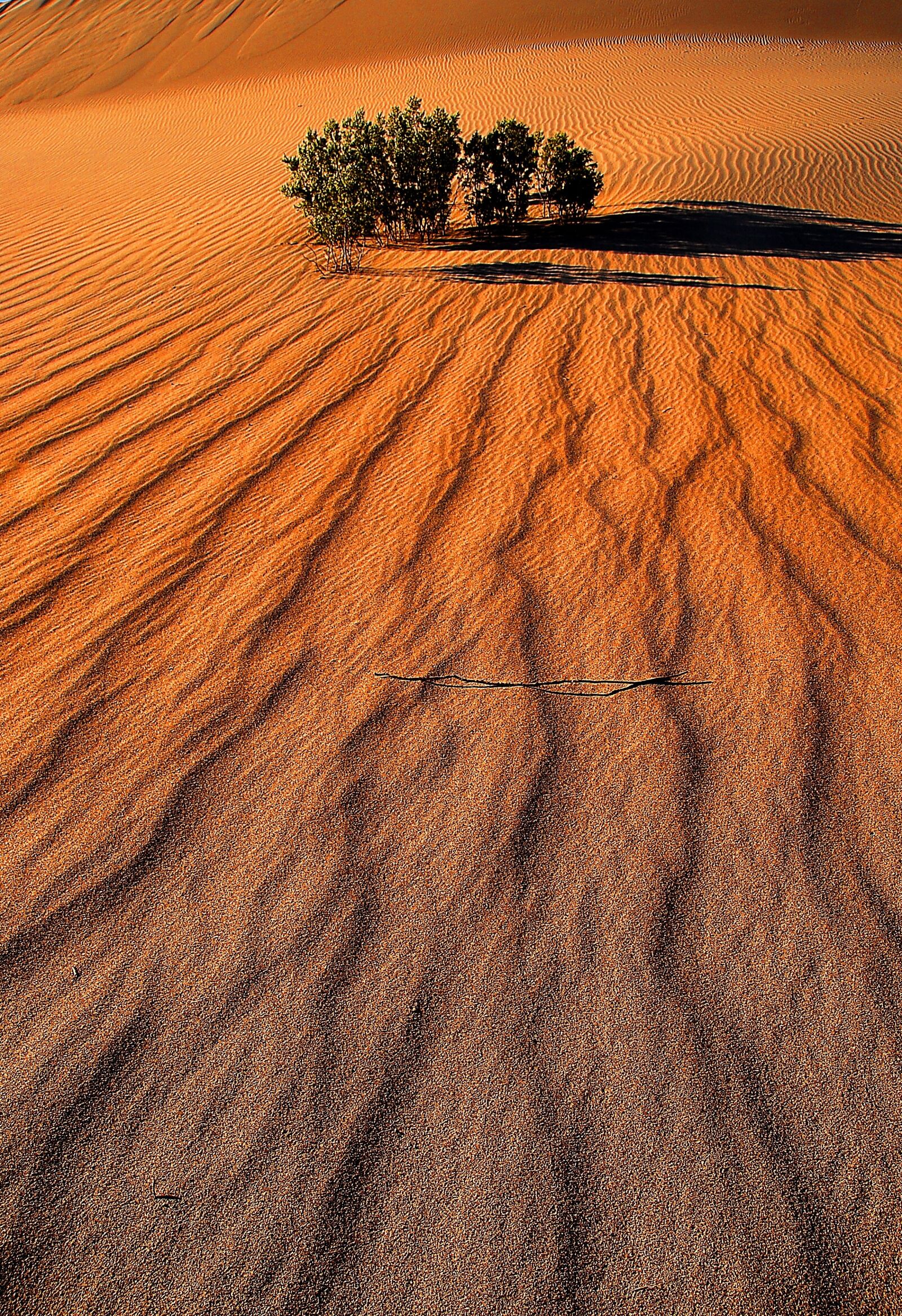 Nikon D200 sample photo. Death valley, sand, nature photography