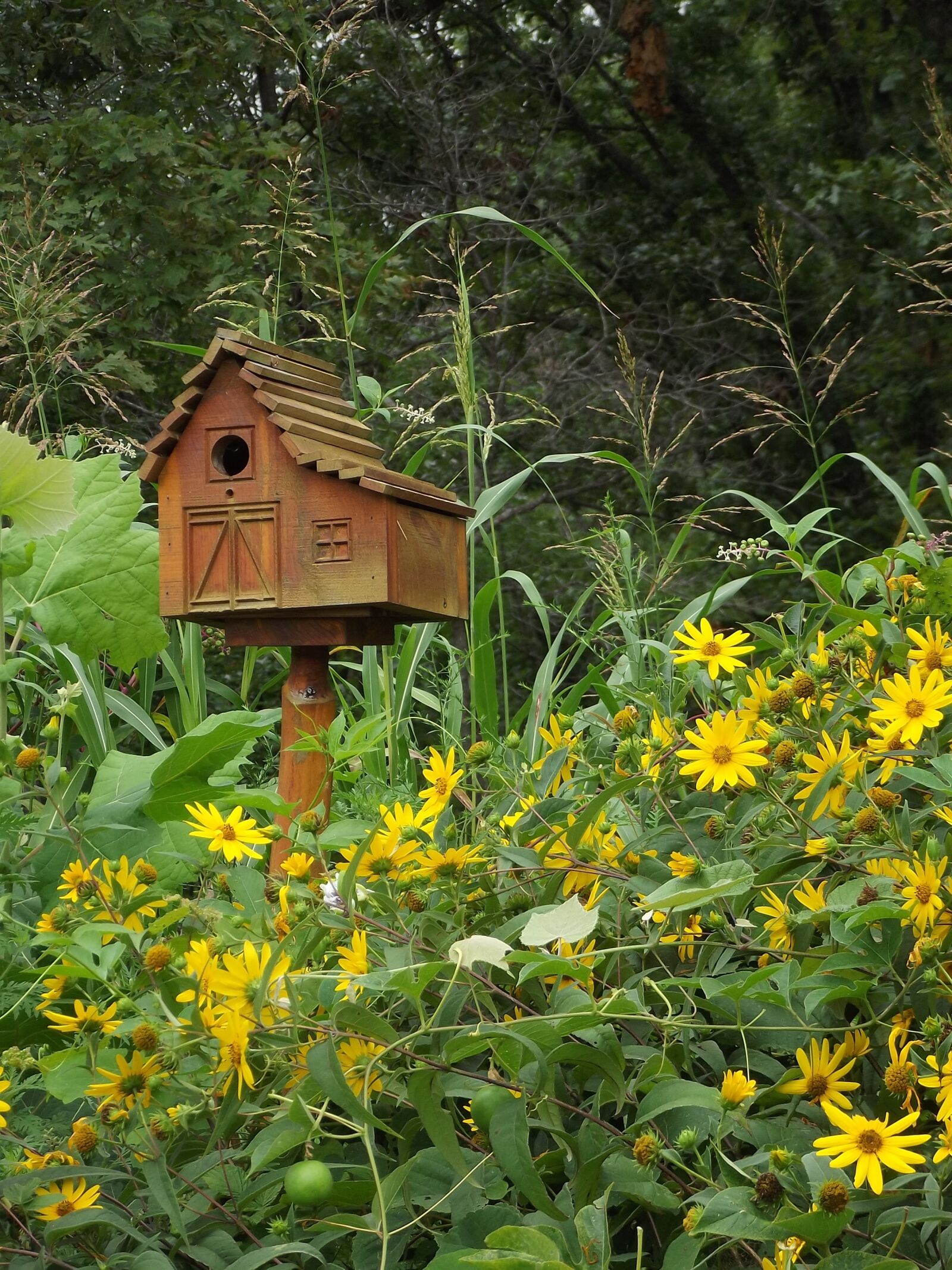 Fujifilm FinePix S2940/Walmart sample photo. Spring, birdhouse, roadside photography