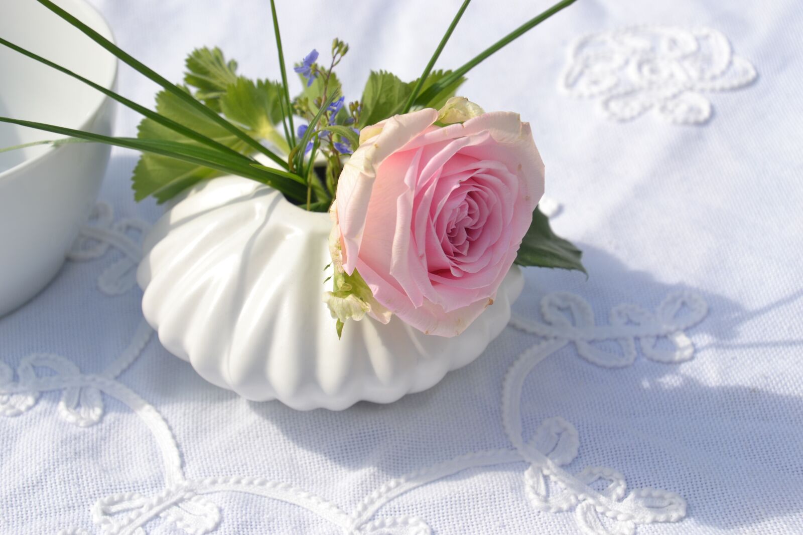 Nikon D3100 sample photo. Flowers, rose, blossom photography