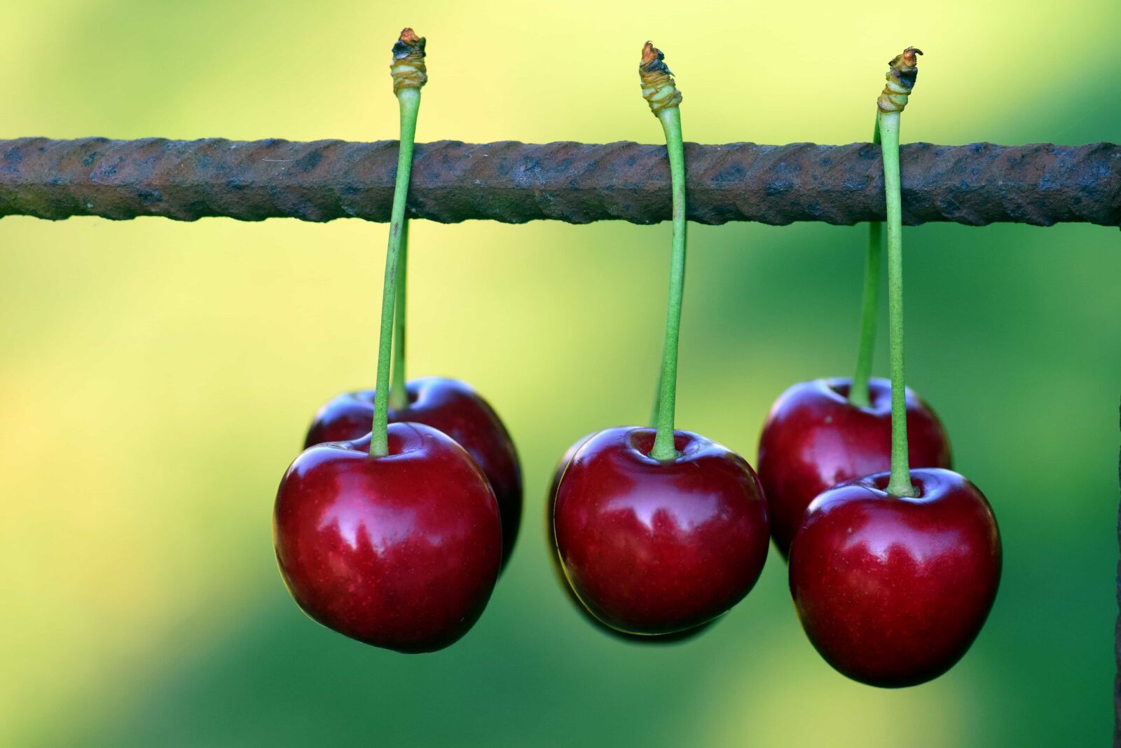 Nikon D3300 sample photo. Food, cherry, fruit, macro photography