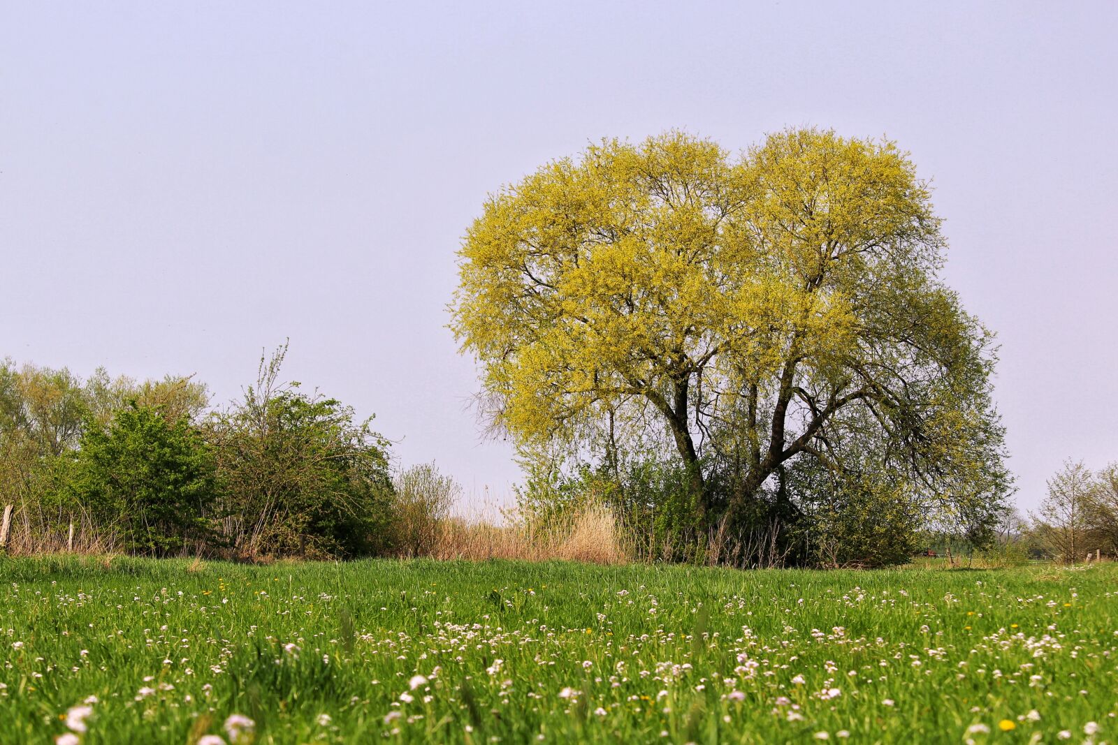 Canon EF-S 55-250mm F4-5.6 IS STM sample photo. Spring, nature, landscape photography