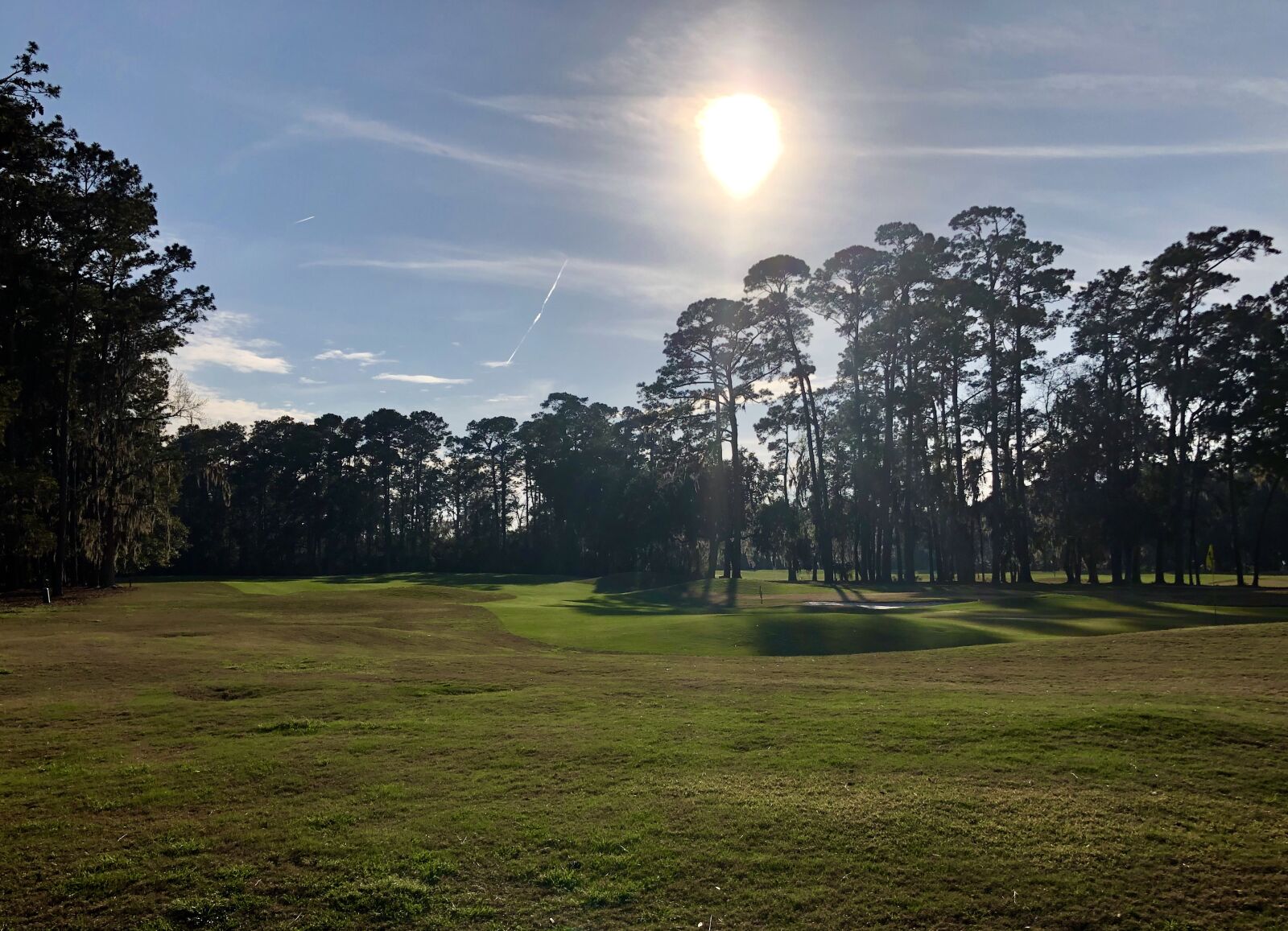 iPhone 8 Plus back dual camera 3.99mm f/1.8 sample photo. Sky, sun, grass photography