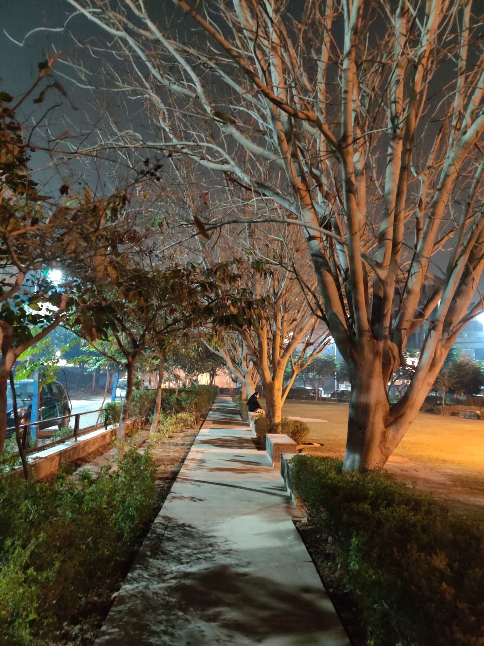 OnePlus HD1901 sample photo. Night view, nature, trees photography