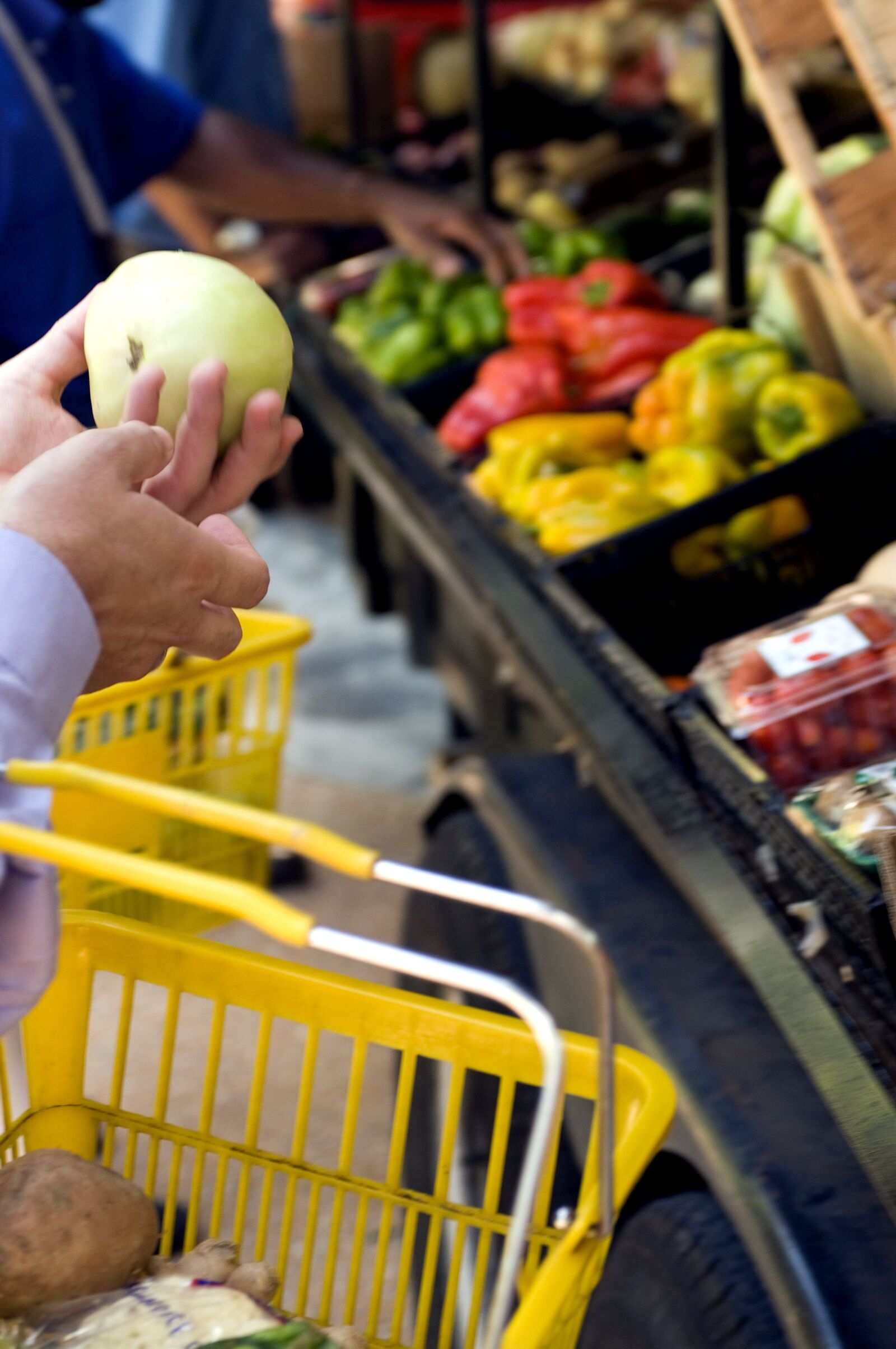 Nikon D300 sample photo. Shopper, holding, green, tomato photography