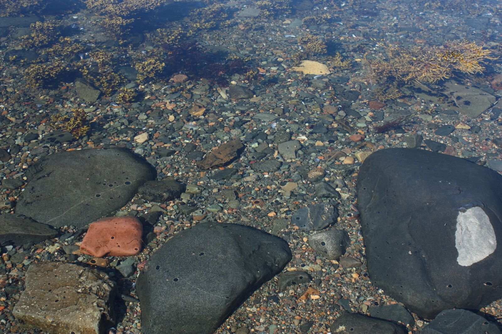 Canon EOS 450D (EOS Rebel XSi / EOS Kiss X2) sample photo. Rocks, beach, coast photography
