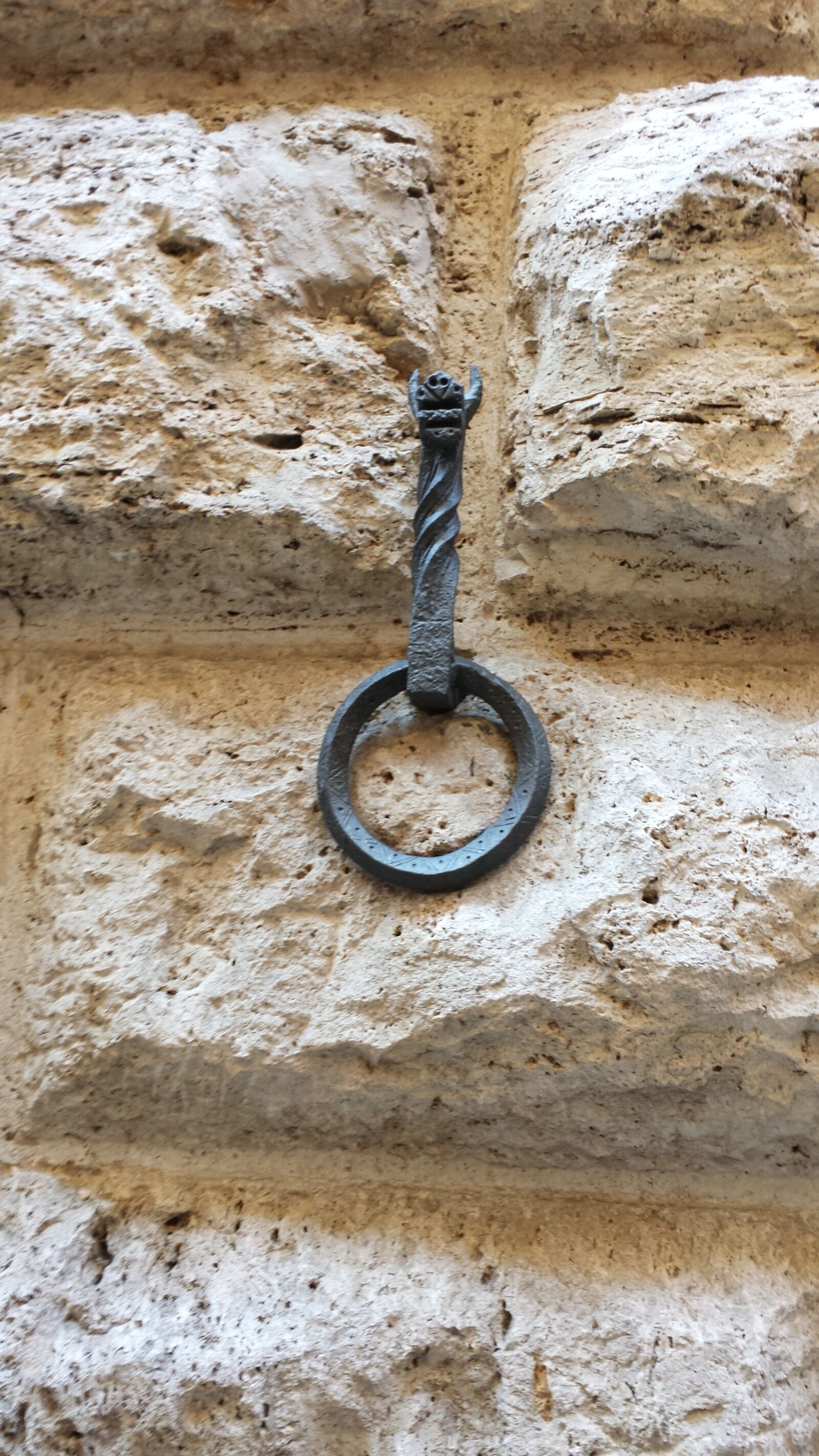 Samsung Galaxy S4 sample photo. Horse ring, iron ring photography