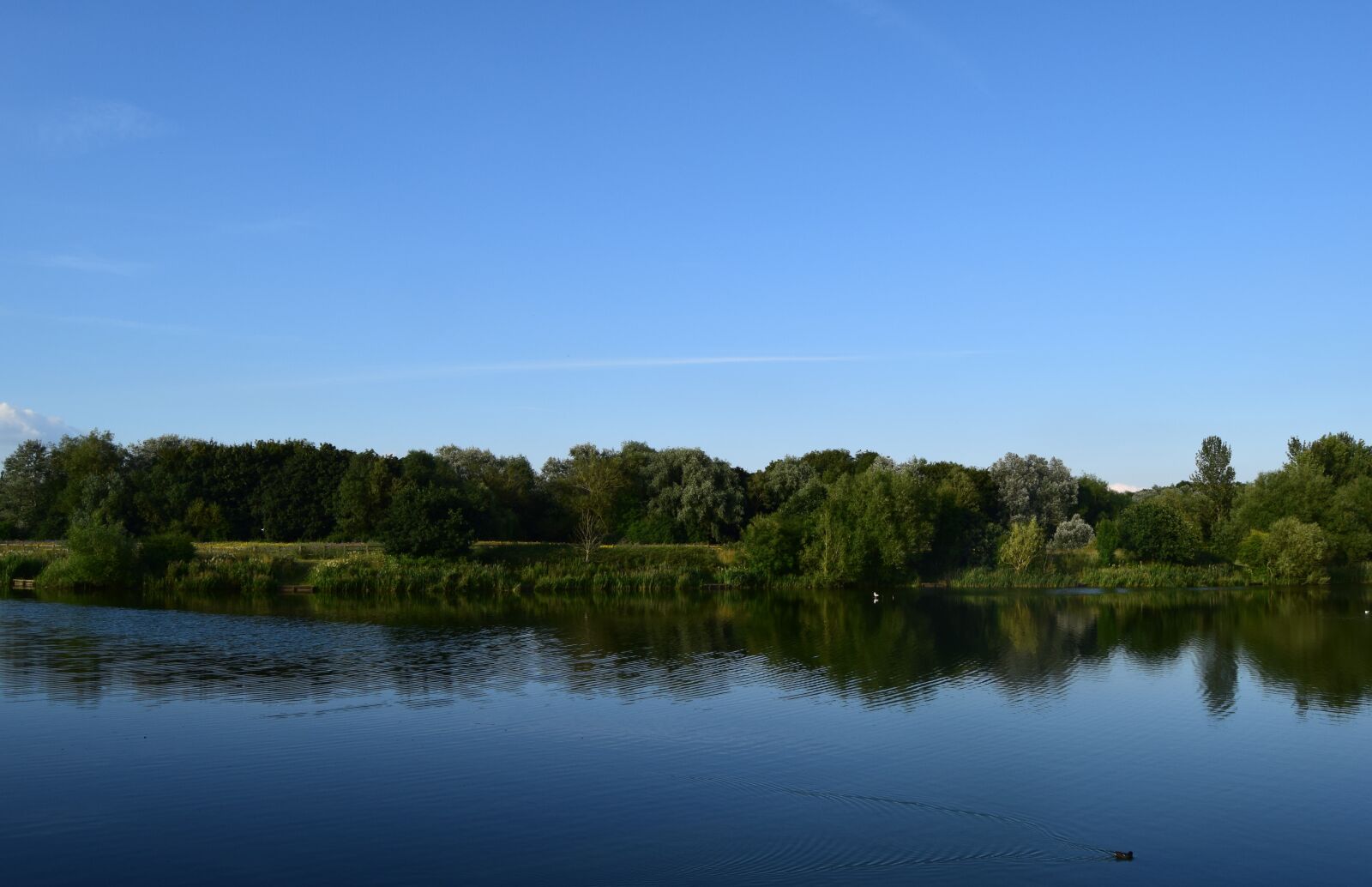 Nikon D3300 sample photo. Lake, lodge lake, milton photography