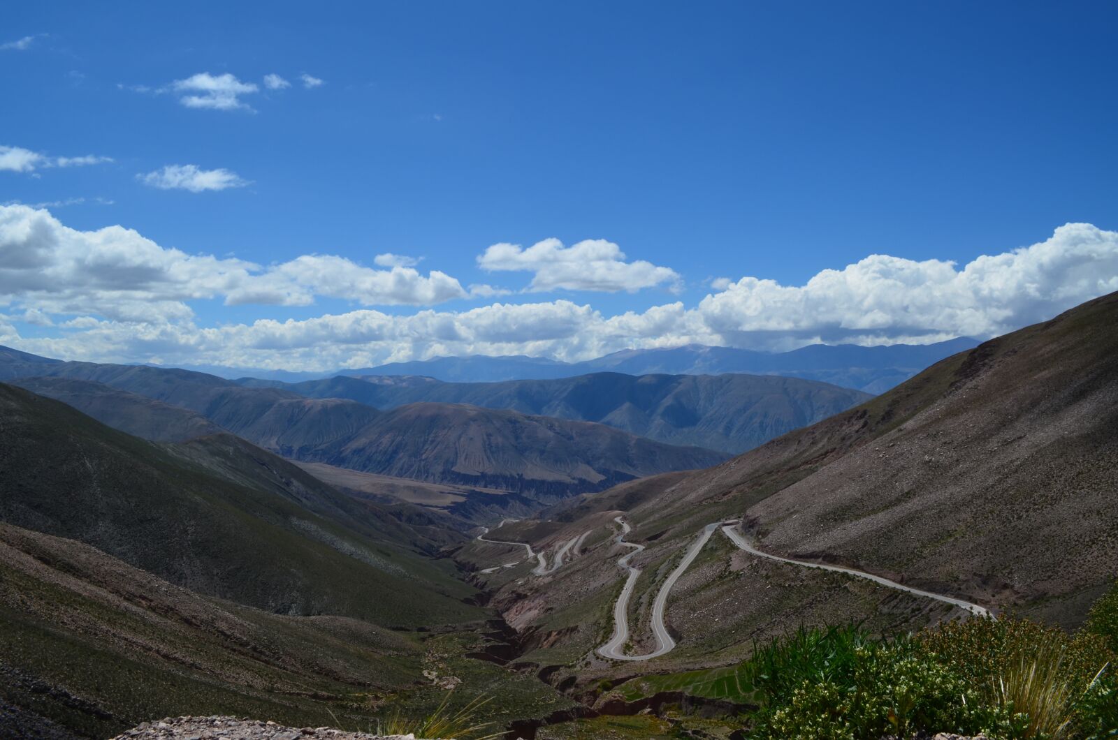 Nikon D5100 sample photo. Argentina, path, motan photography