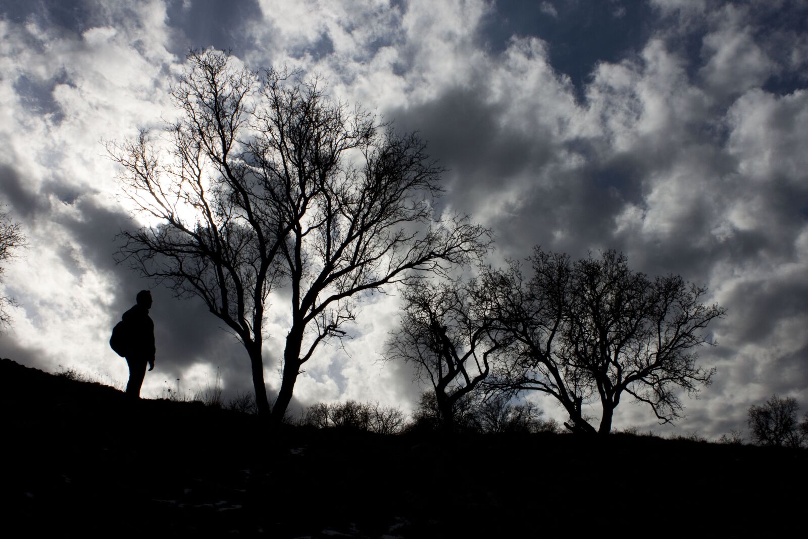 Canon EOS 500D (EOS Rebel T1i / EOS Kiss X3) sample photo. Cloud, silhouette, landscape photography