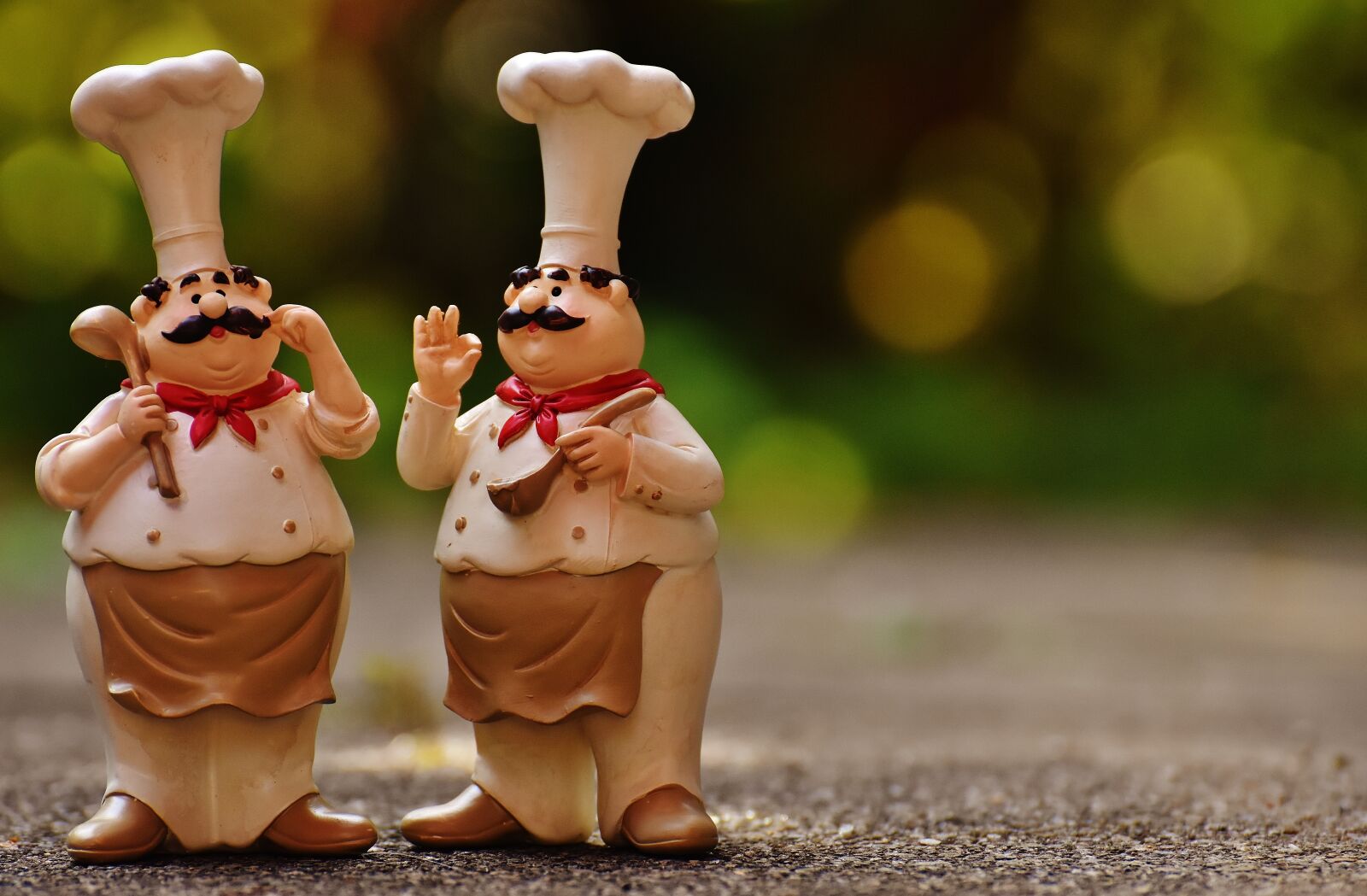 Nikon D7200 sample photo. Chefs, figures, funny photography