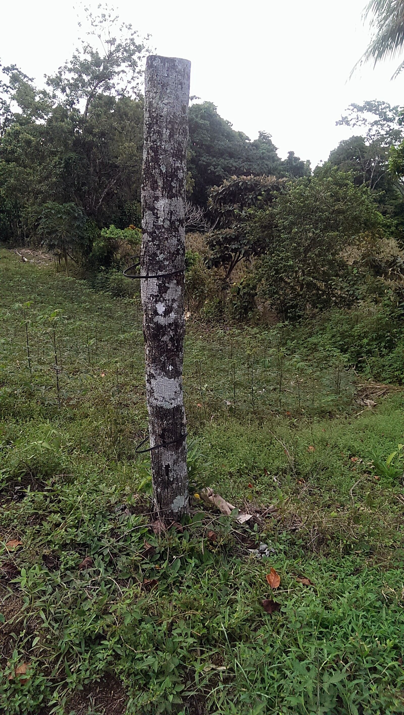 HTC ONE sample photo. Nature photography