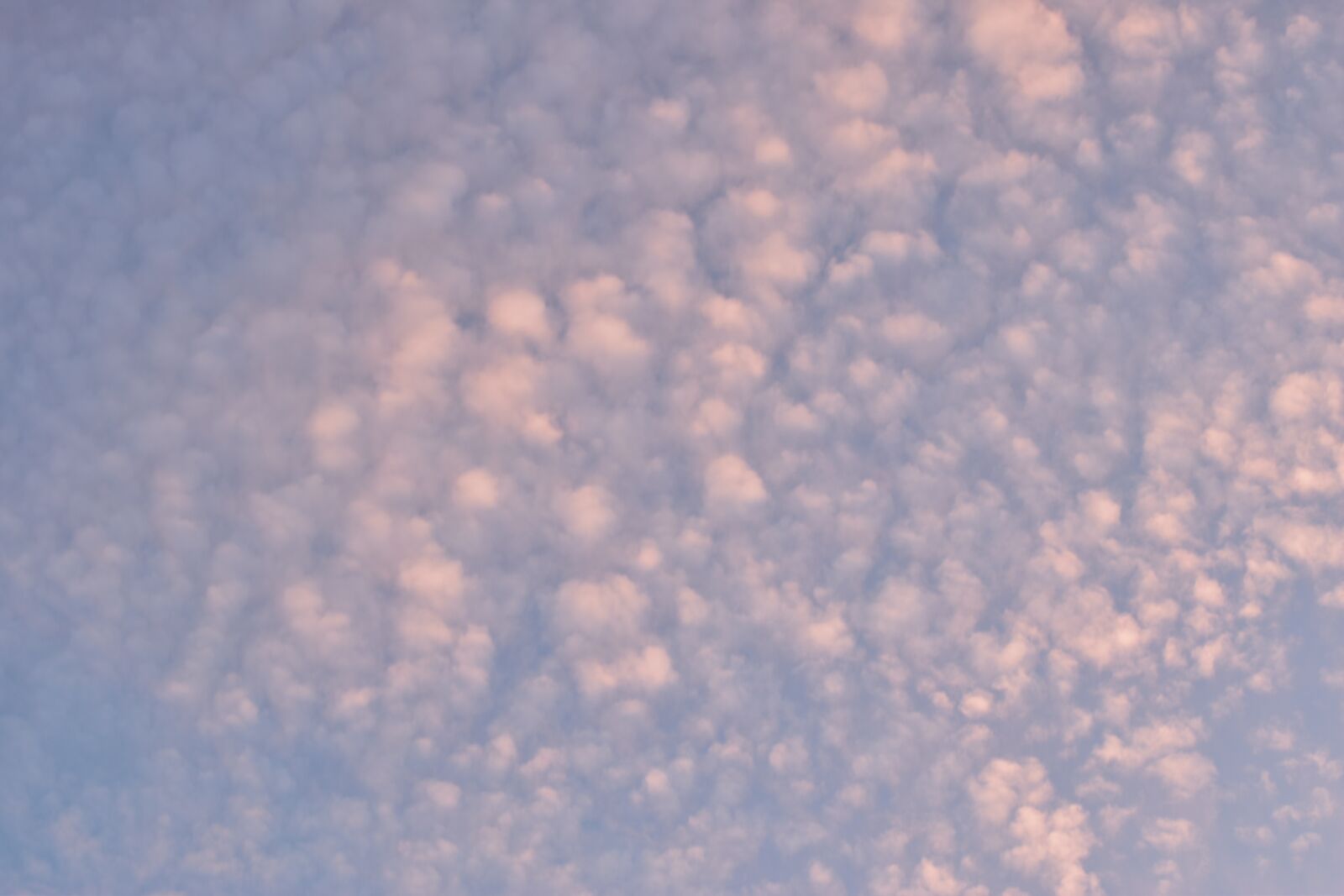 Nikon D5600 sample photo. Sky, clouds, cumulus clouds photography