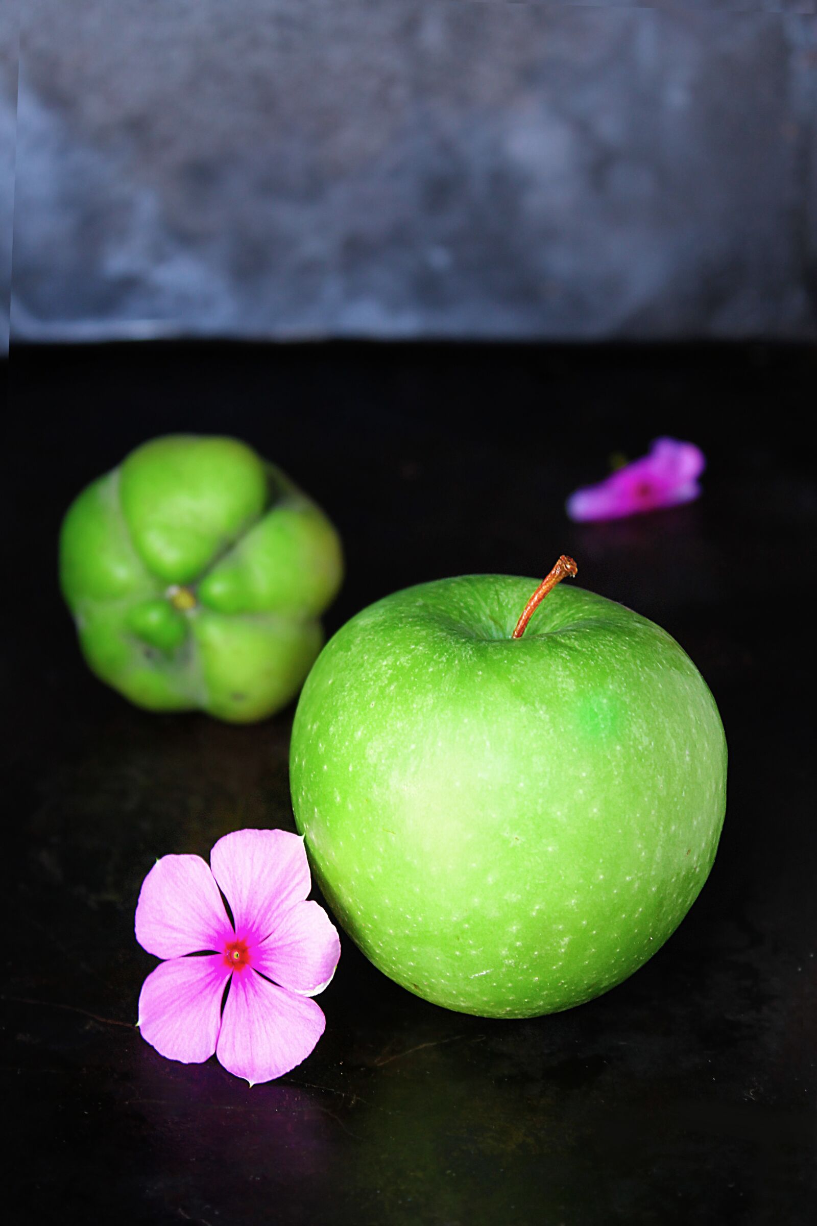 Canon EOS 1100D (EOS Rebel T3 / EOS Kiss X50) sample photo. Apple, flora, flower photography