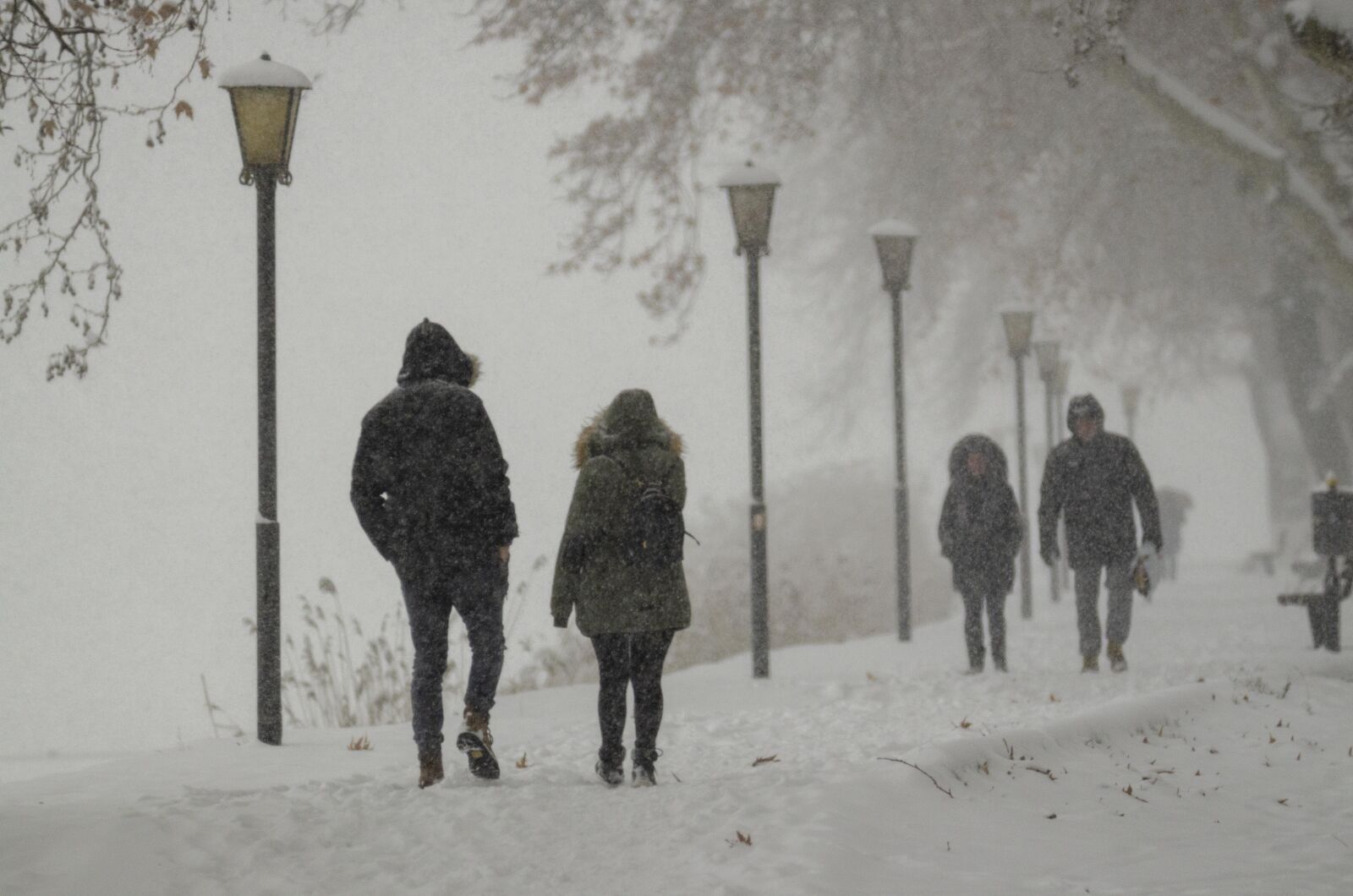Nikon D7000 sample photo. Snow, winter, people photography