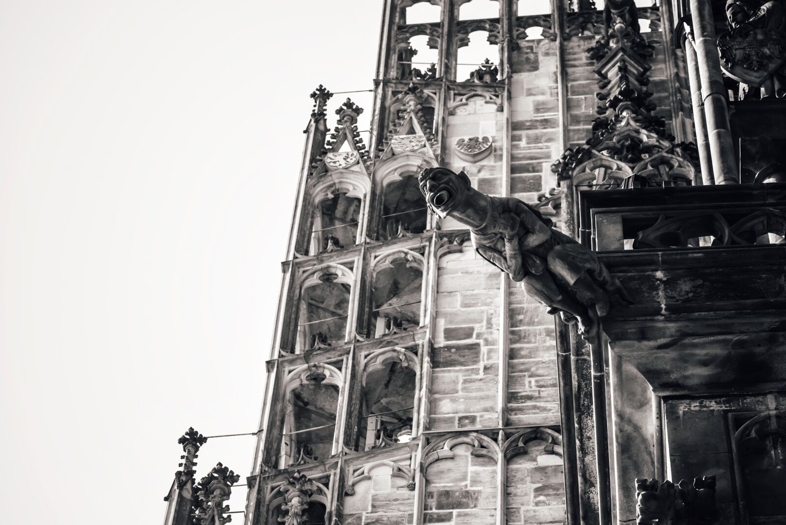 Nikon D800 sample photo. Gargoyle, cathedral, catholic photography