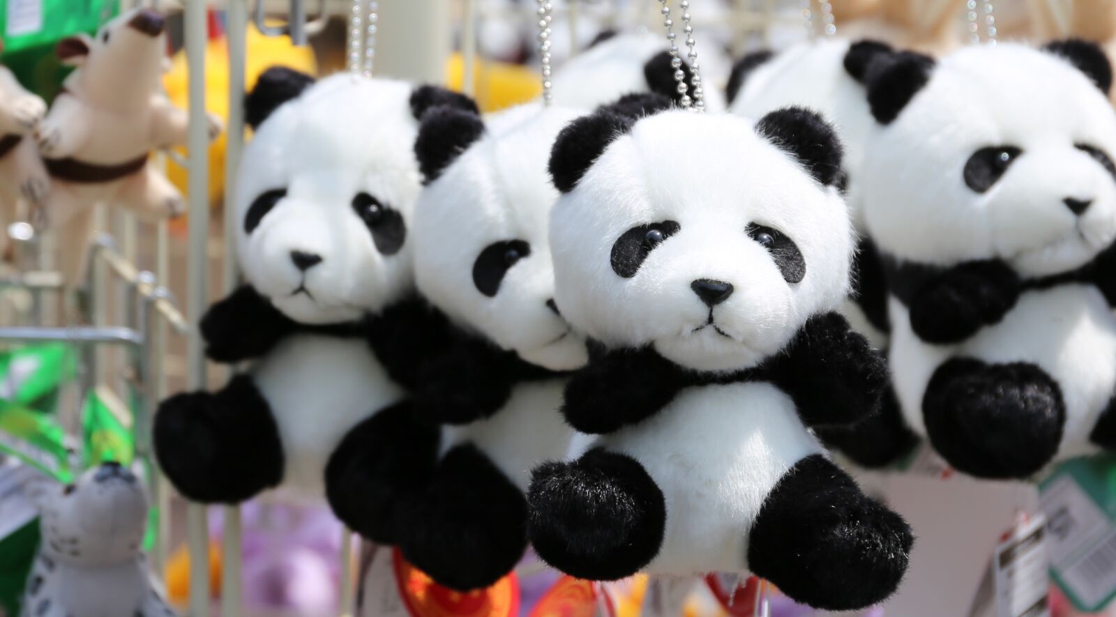 Canon EF 24-70mm F4L IS USM sample photo. Panda, jewelry, cute photography