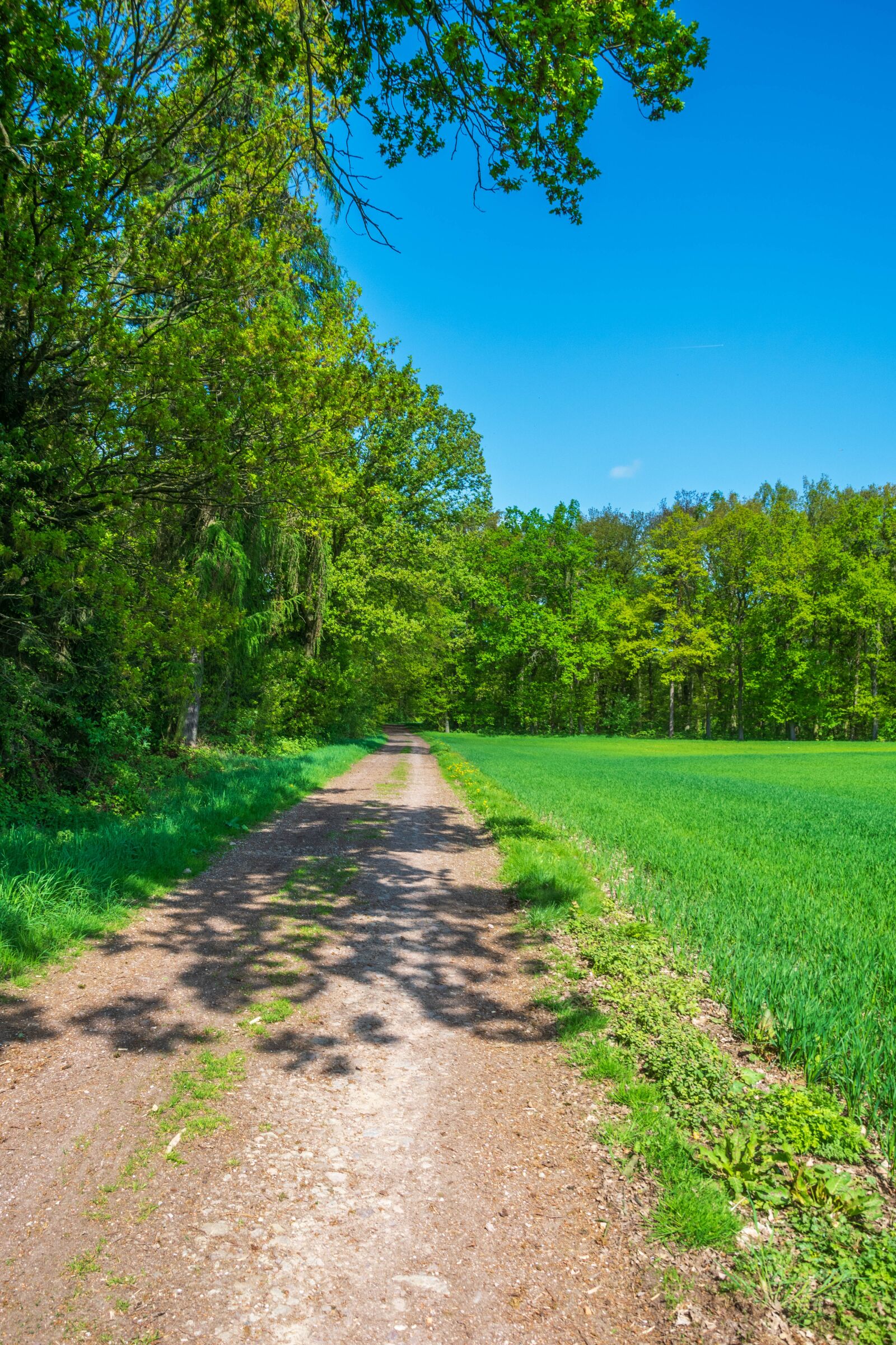 Nikon D3300 sample photo. Nature, away, lane photography