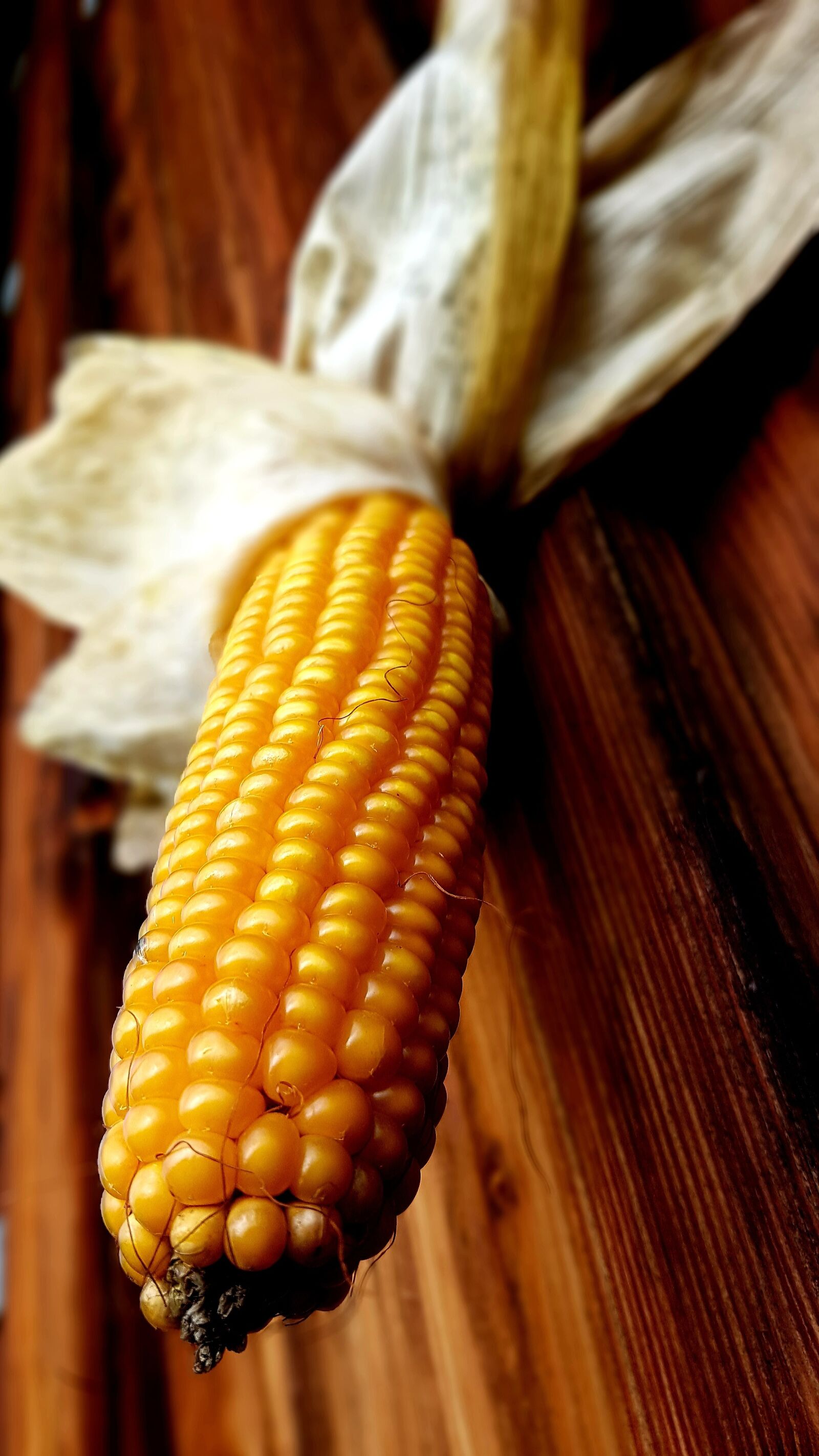 Samsung Galaxy S7 Edge sample photo. Corn, corn on the photography