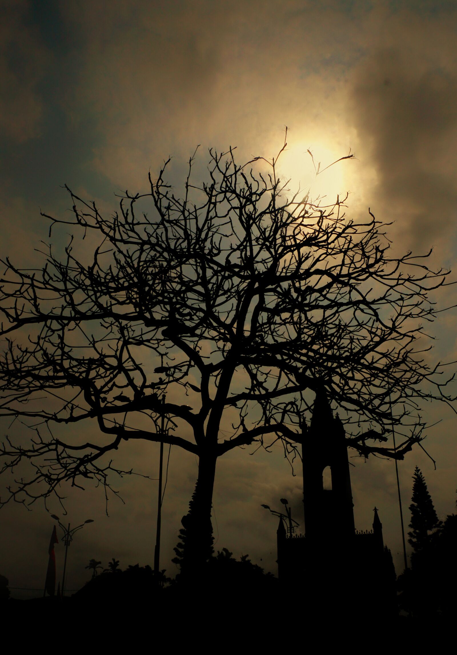 Sony a6300 sample photo. Spindly eagle, village, a photography