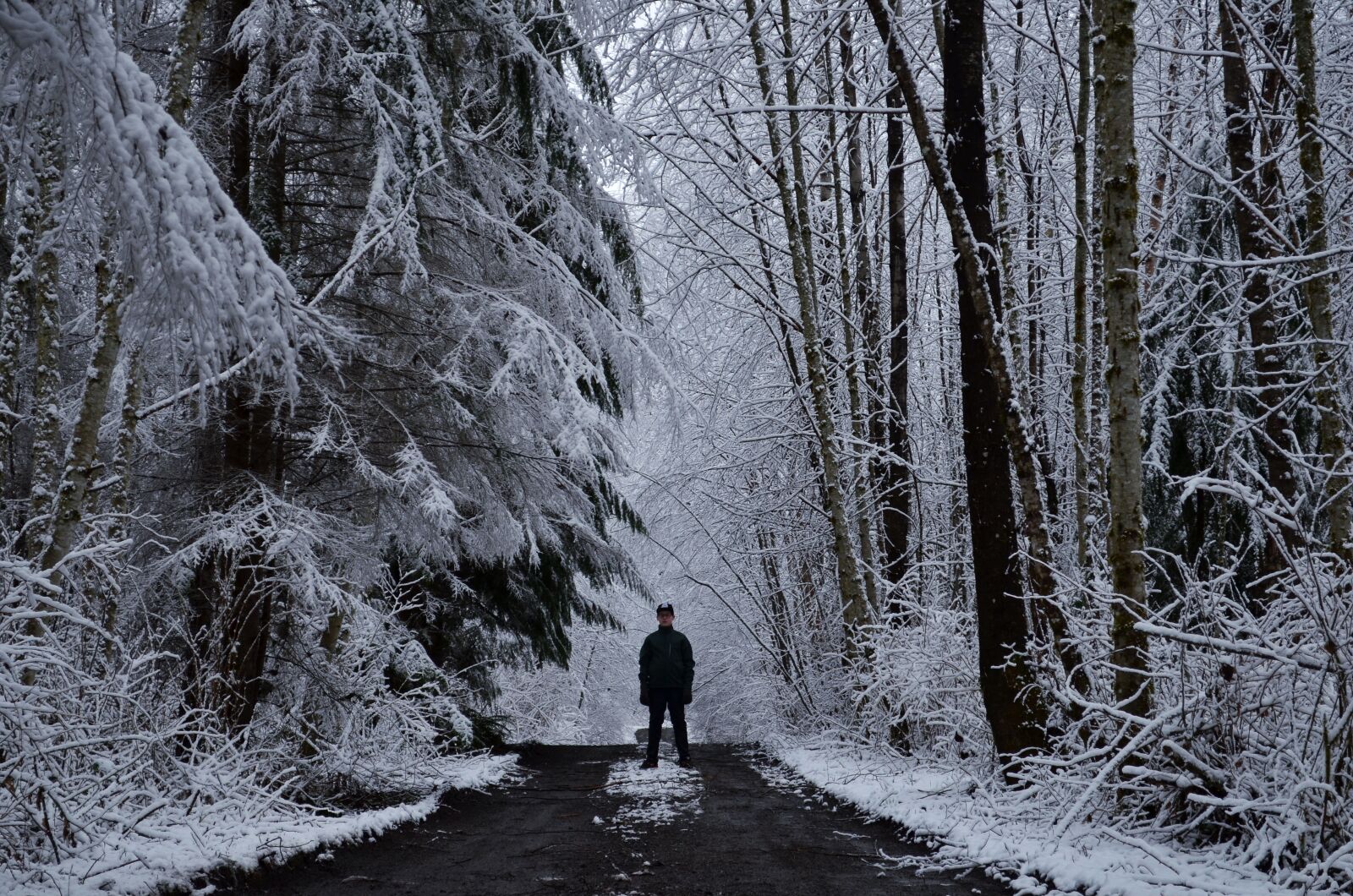 Nikon D5100 sample photo. Boy, snow, woods photography
