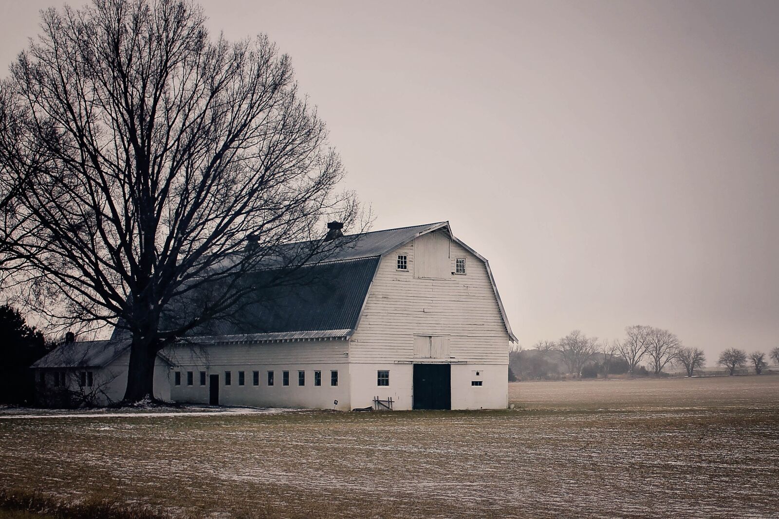 Canon EOS 700D (EOS Rebel T5i / EOS Kiss X7i) sample photo. Farmhouse, tree, field photography