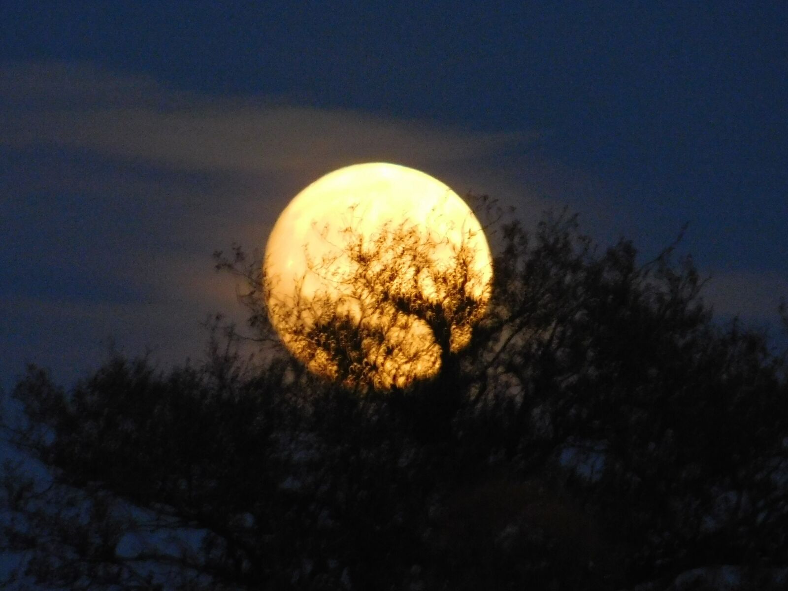 Nikon Coolpix L840 sample photo. Moon, landscape, romance photography
