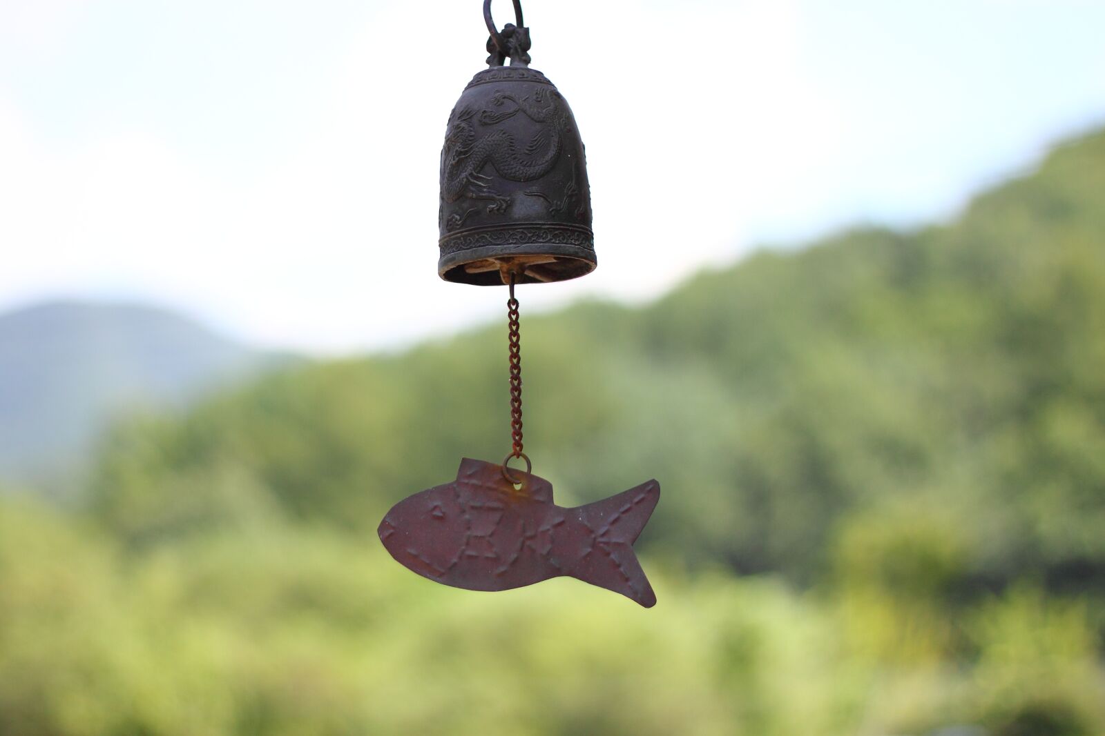 Canon EOS 500D (EOS Rebel T1i / EOS Kiss X3) sample photo. Bell, landscape, species photography